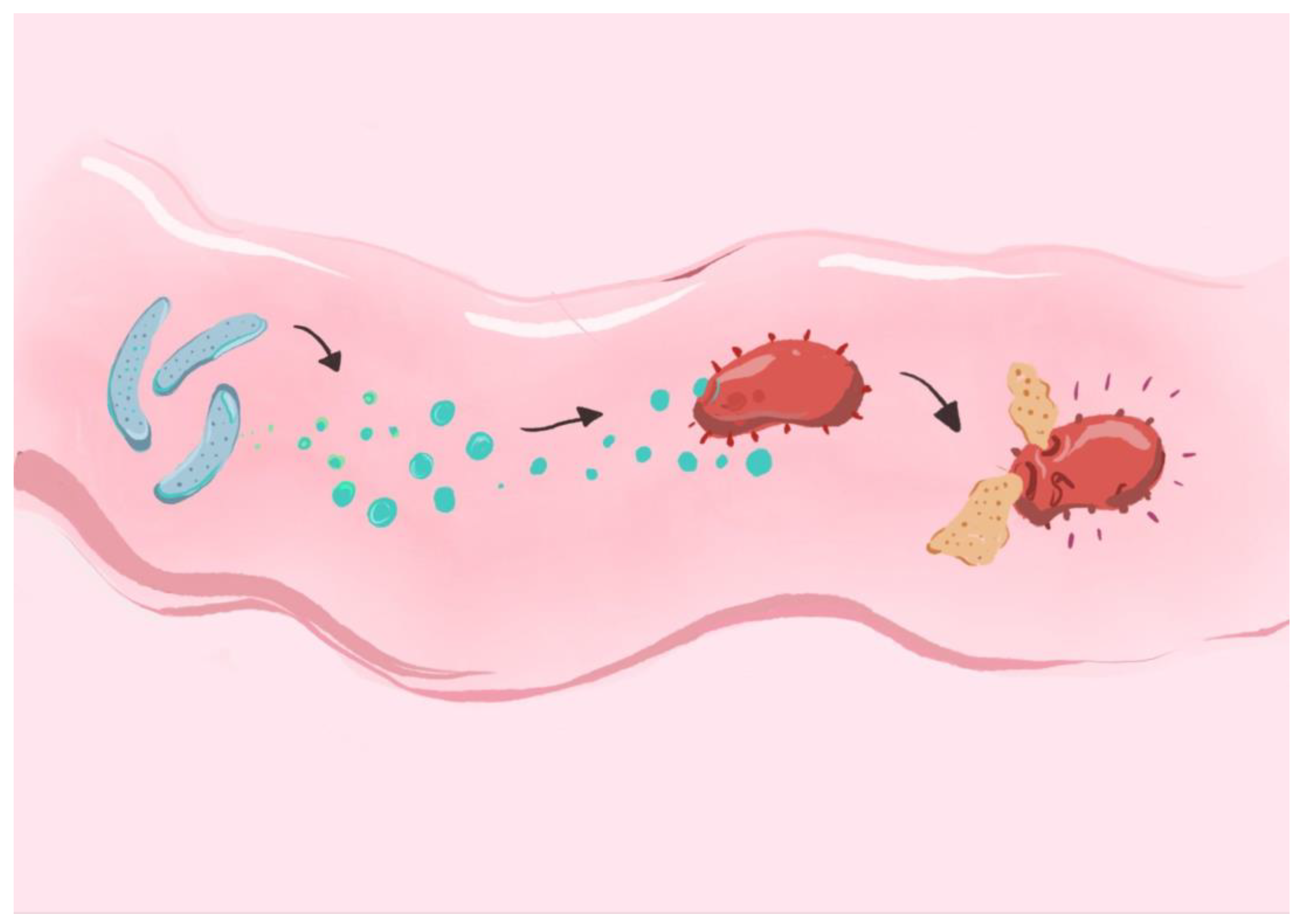 Ijms 26 05143 g003 Ijms 26 05143 g003