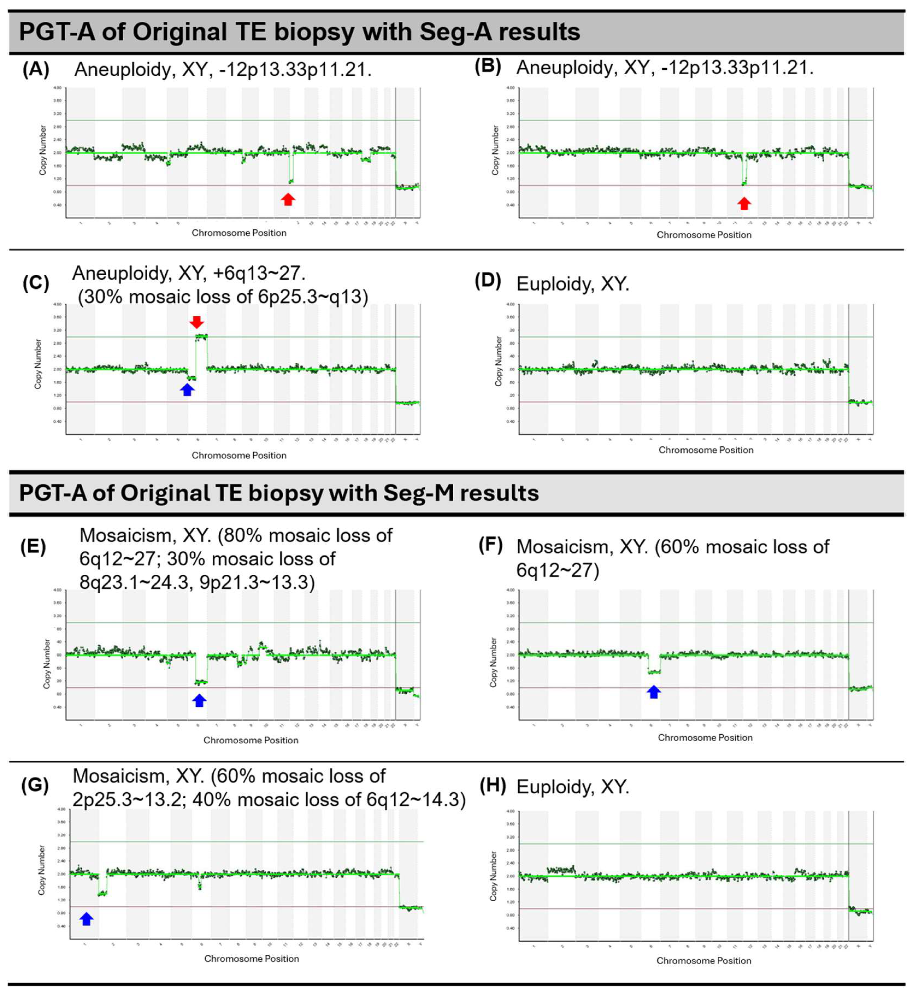 Ijms 26 05284 g003 Ijms 26 05284 g003