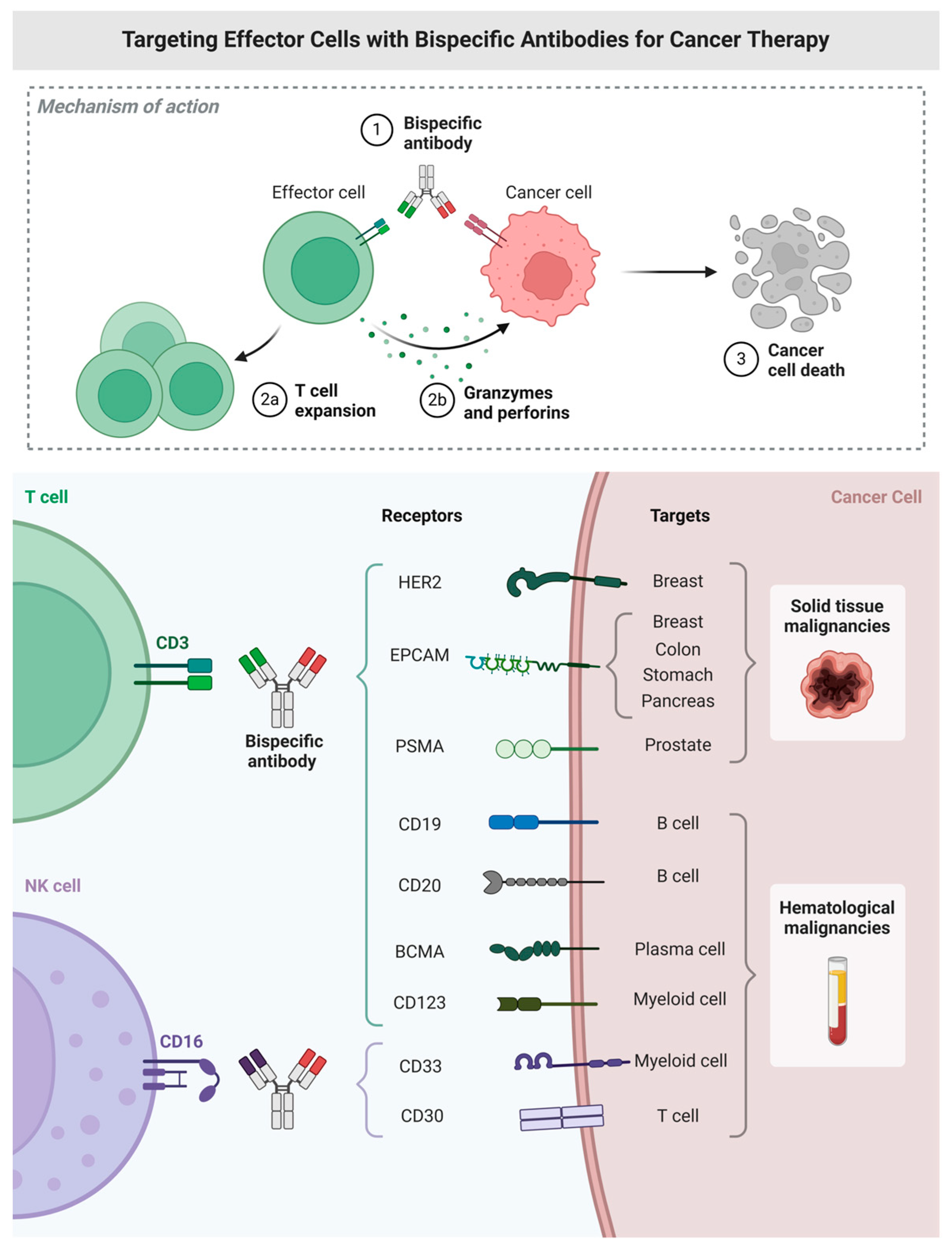 From Molecular Precision to Clinical Practice: A Comprehensive Review ...