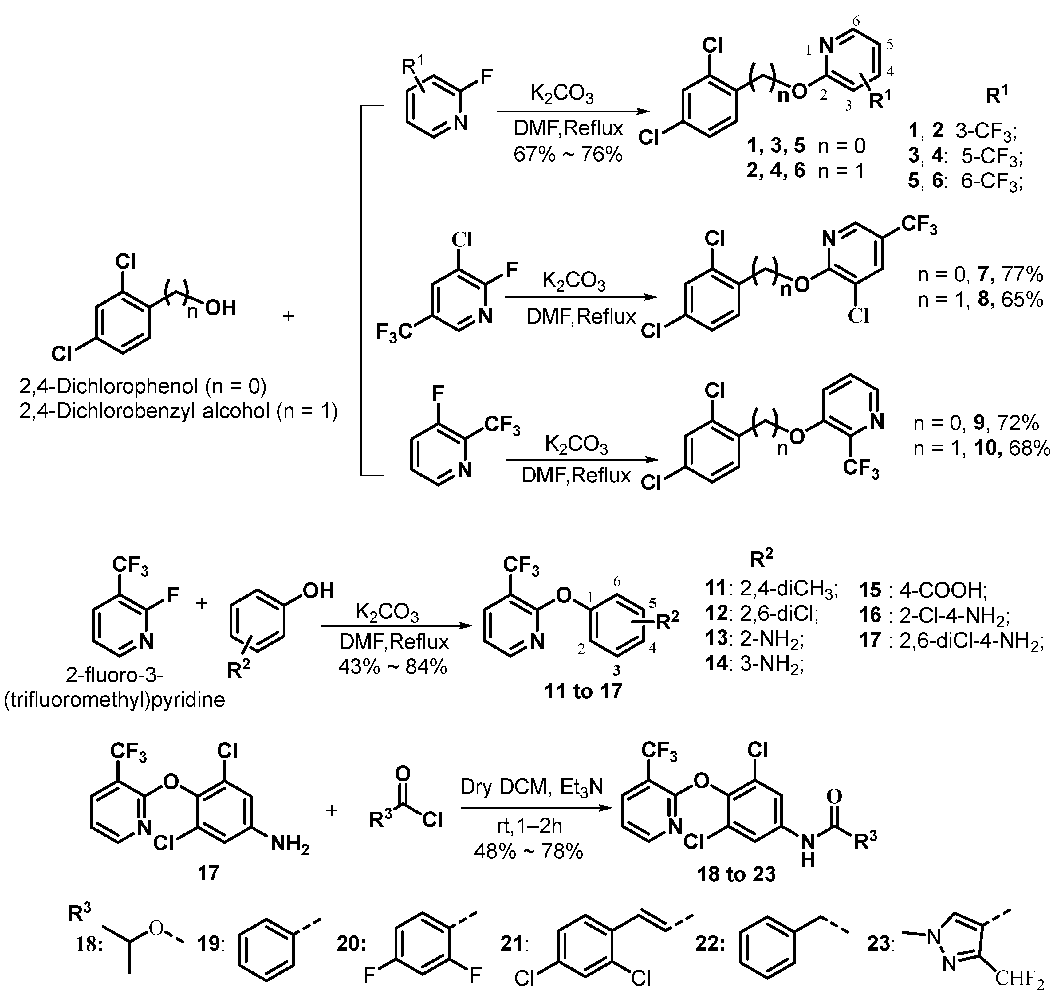Ijms 26 05345 sch001