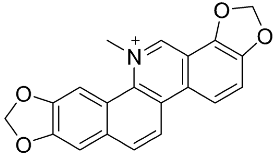 Ijms 26 05795 g005 Ijms 26 05795 g005