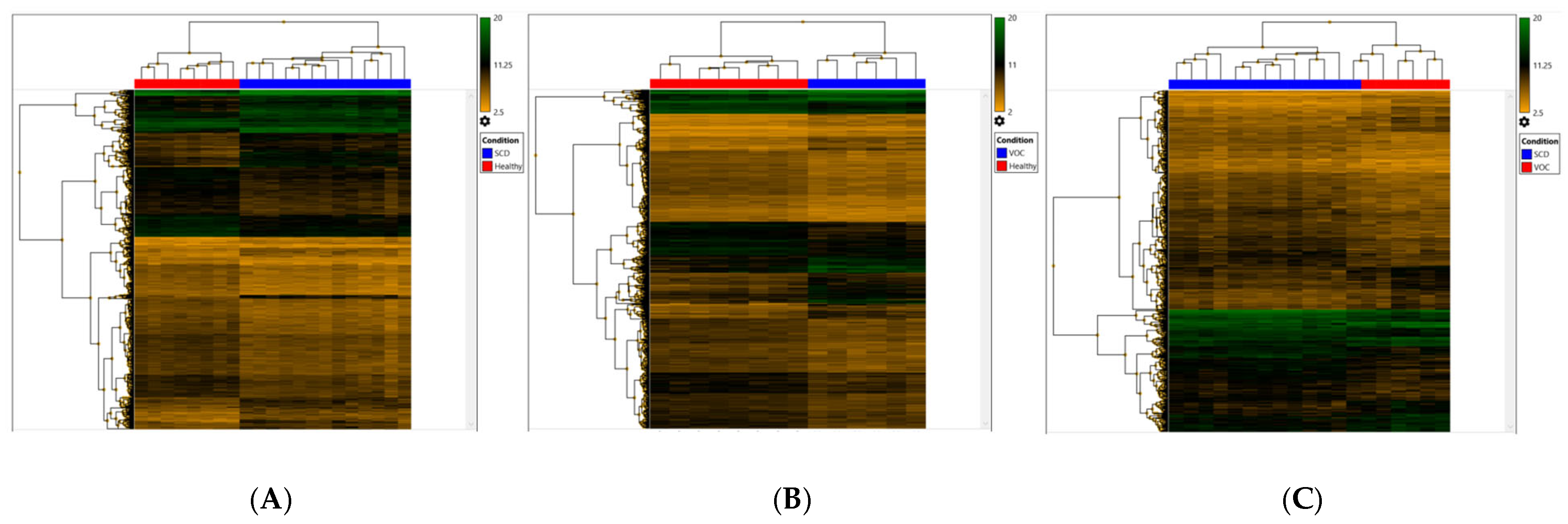 Ijms 26 06338 g001 Ijms 26 06338 g001