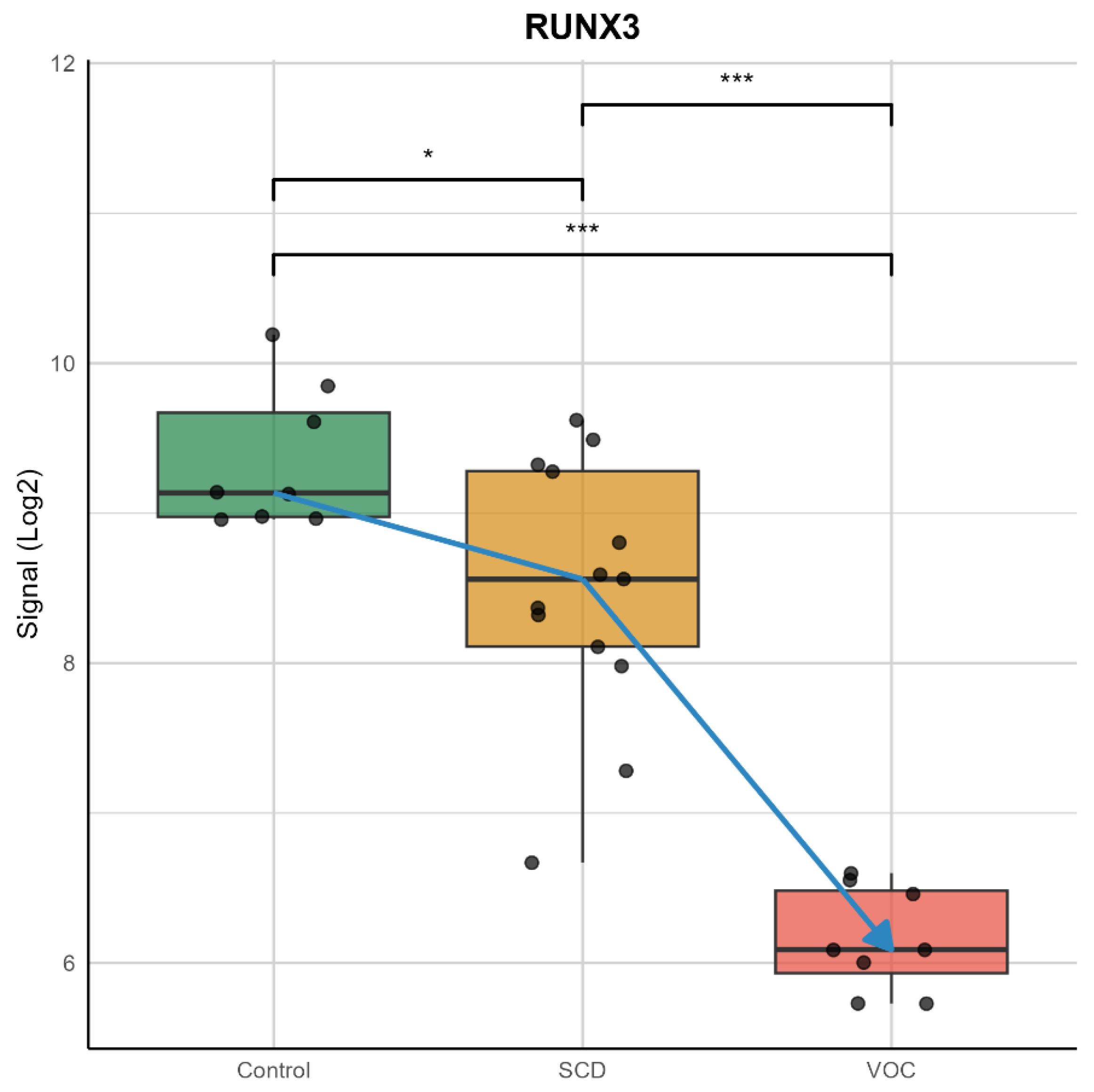 Ijms 26 06338 g003 Ijms 26 06338 g003