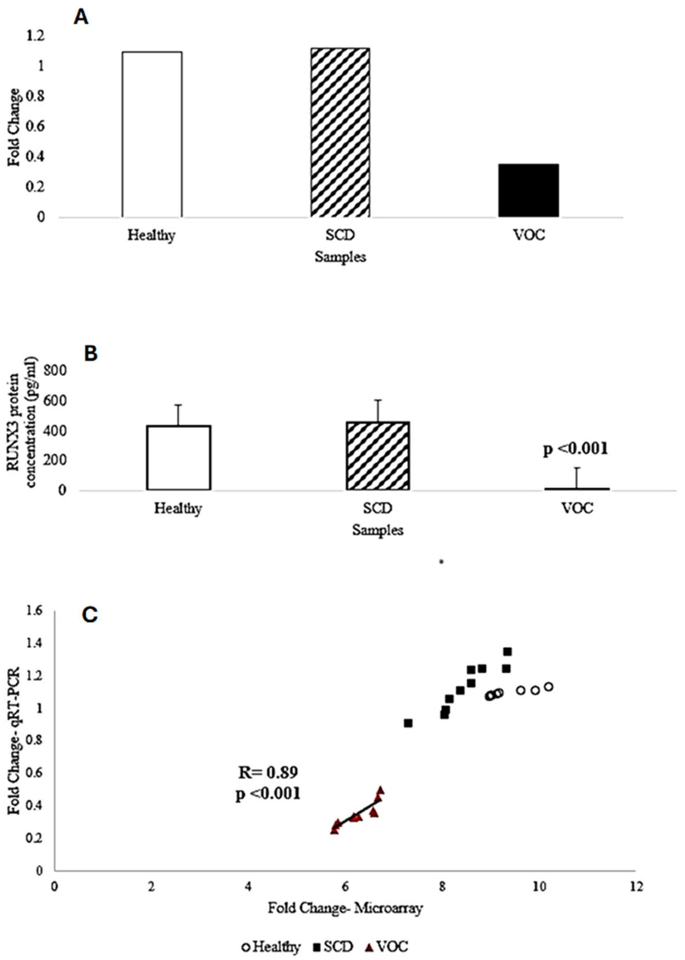 Ijms 26 06338 g004 Ijms 26 06338 g004