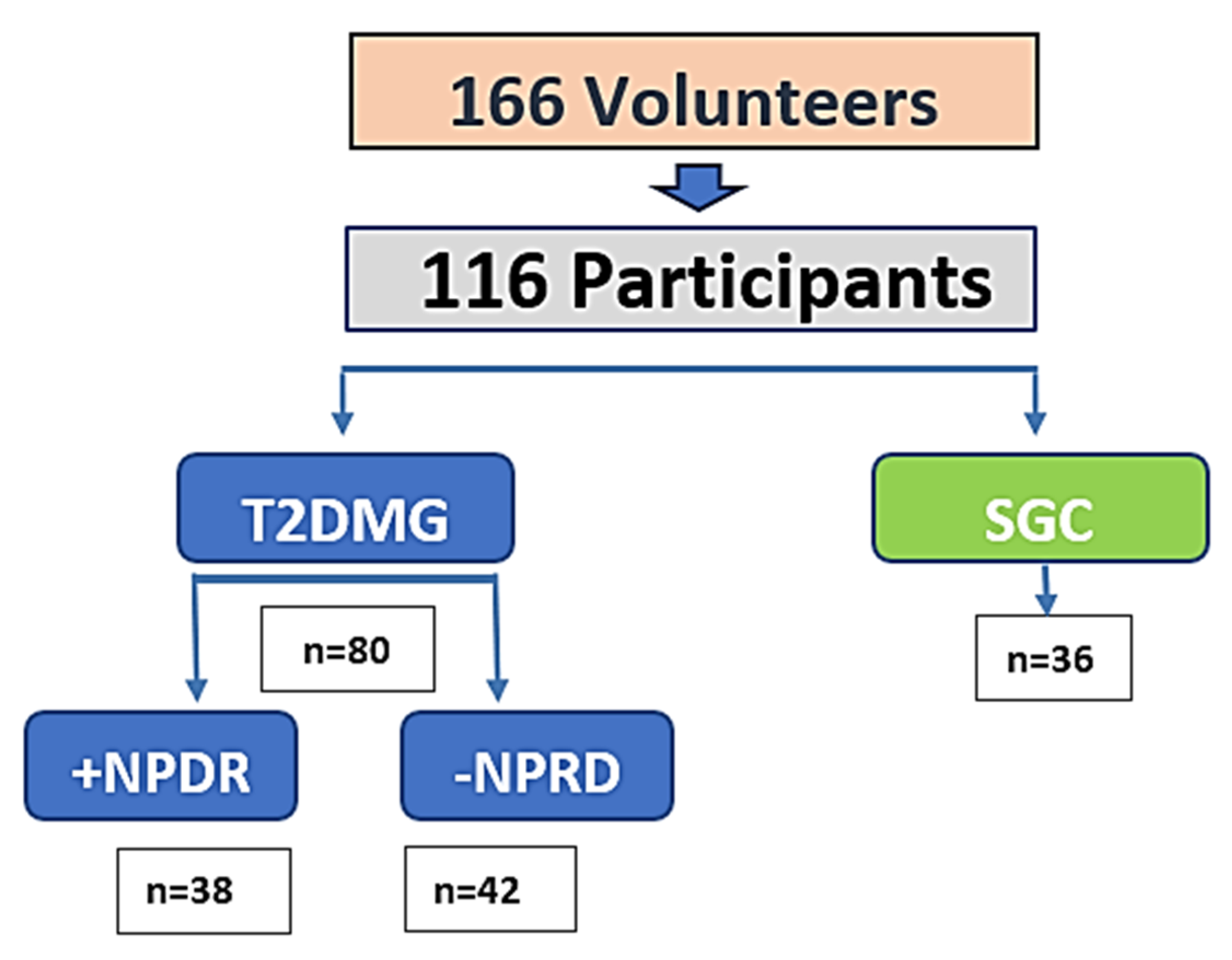 Ijms 26 06461 g002