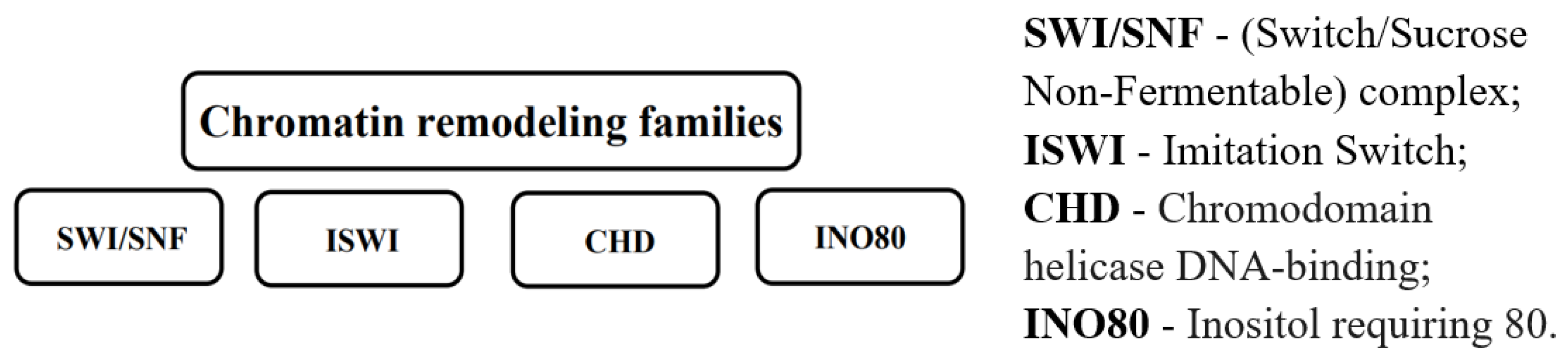Ijms 26 06531 g004 Ijms 26 06531 g004