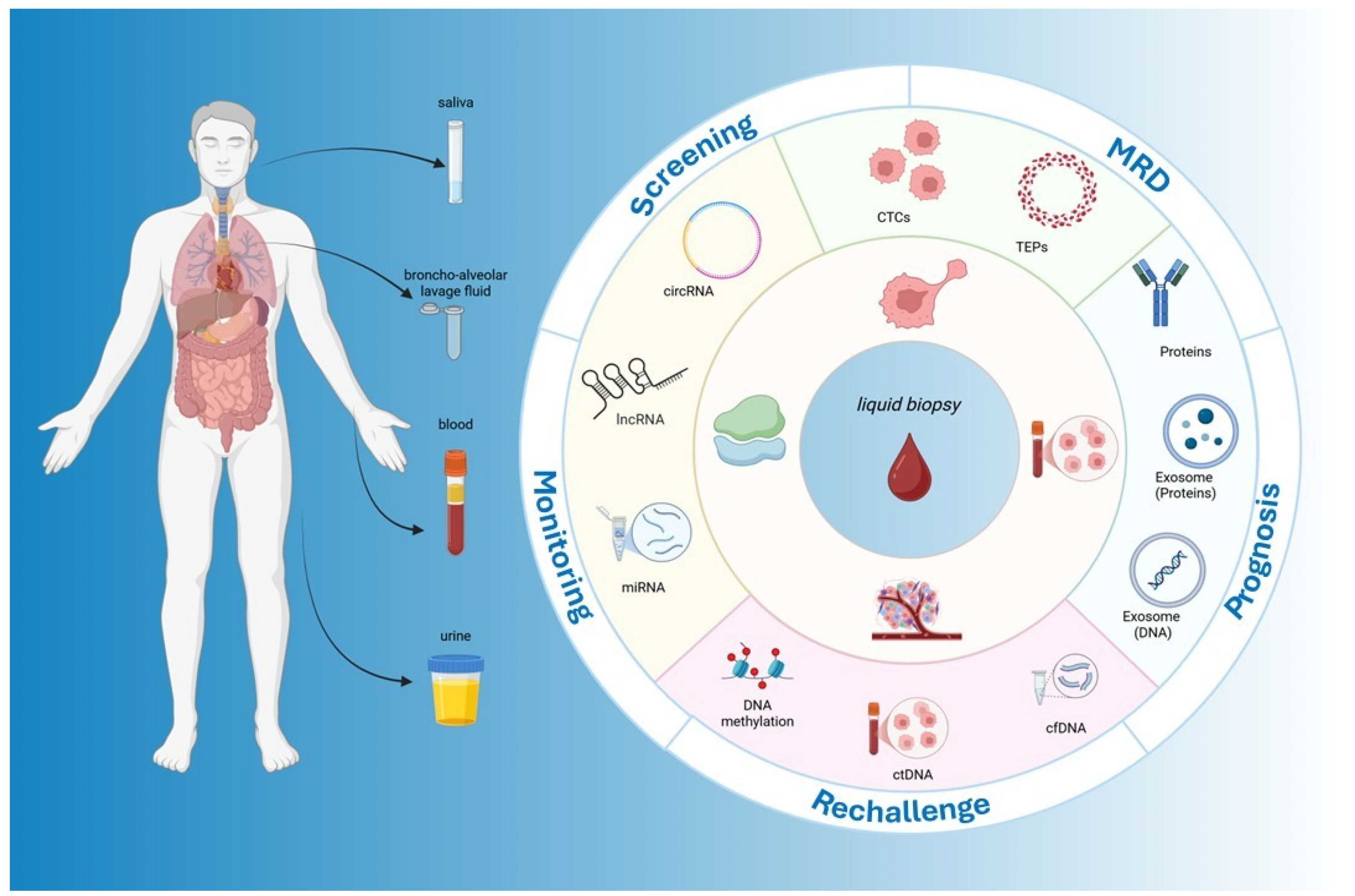 Ijms 26 07619 g001 Ijms 26 07619 g001