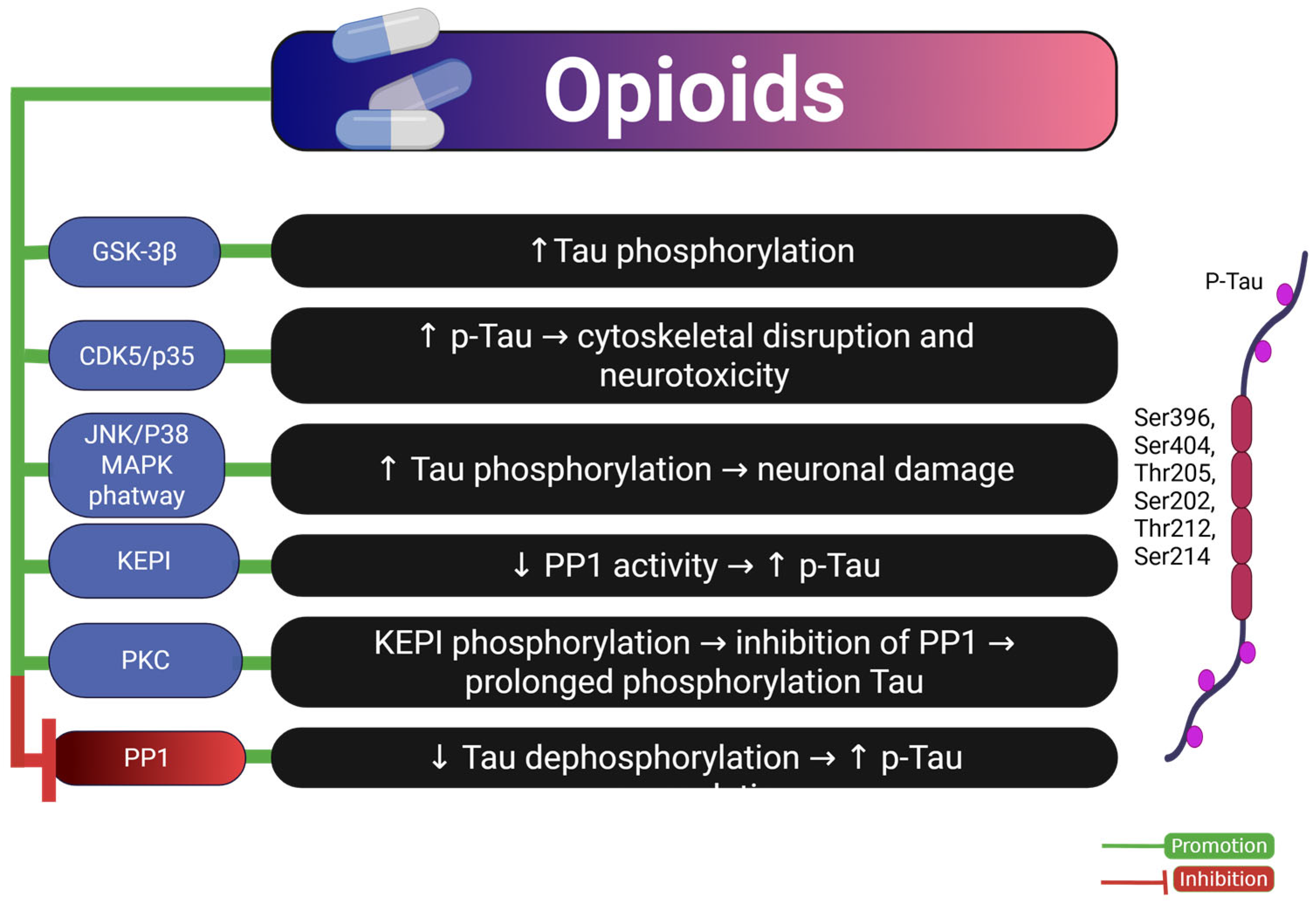 Ijms 26 07638 g005 Ijms 26 07638 g005