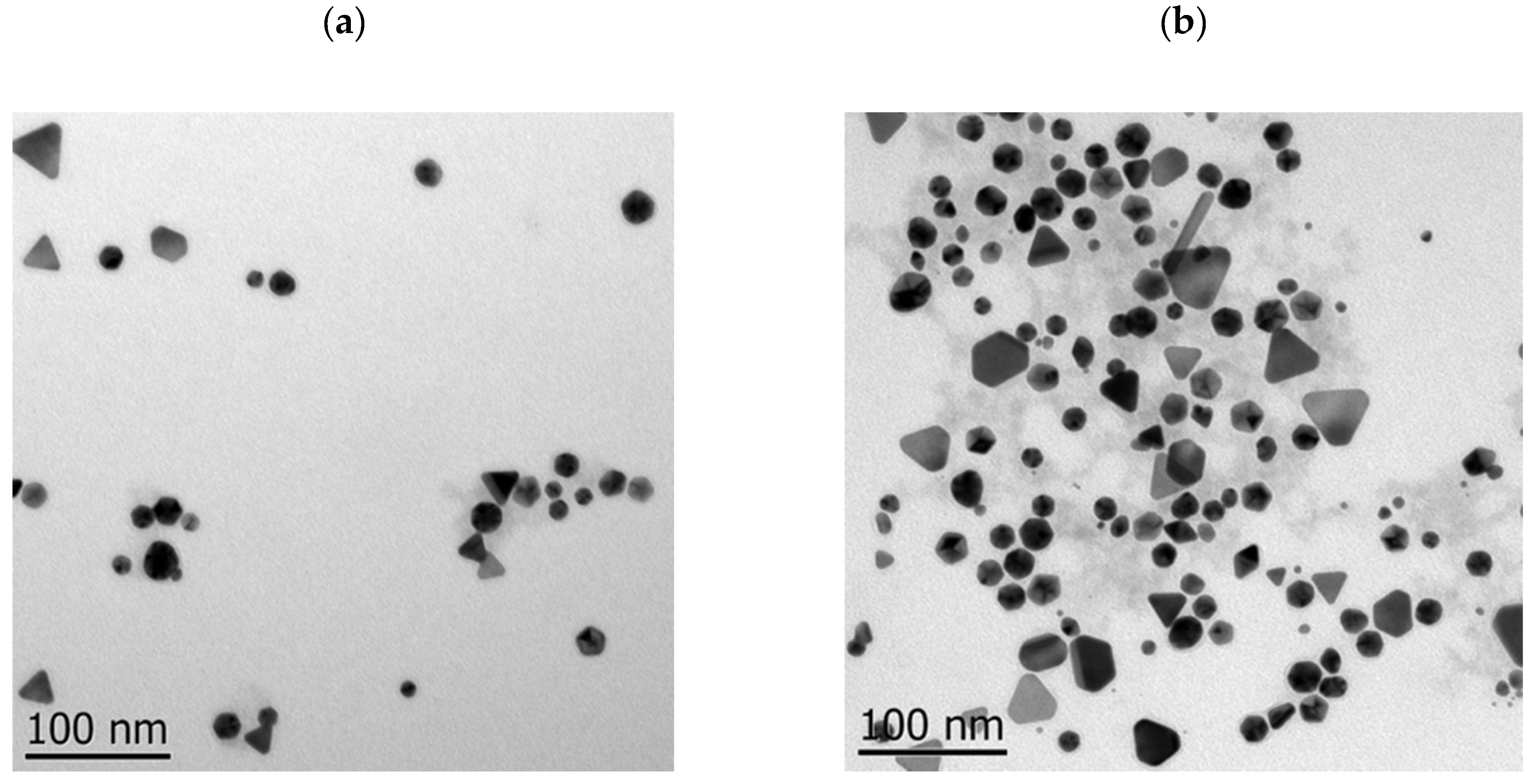 Ijms 26 07645 g003a Ijms 26 07645 g003a