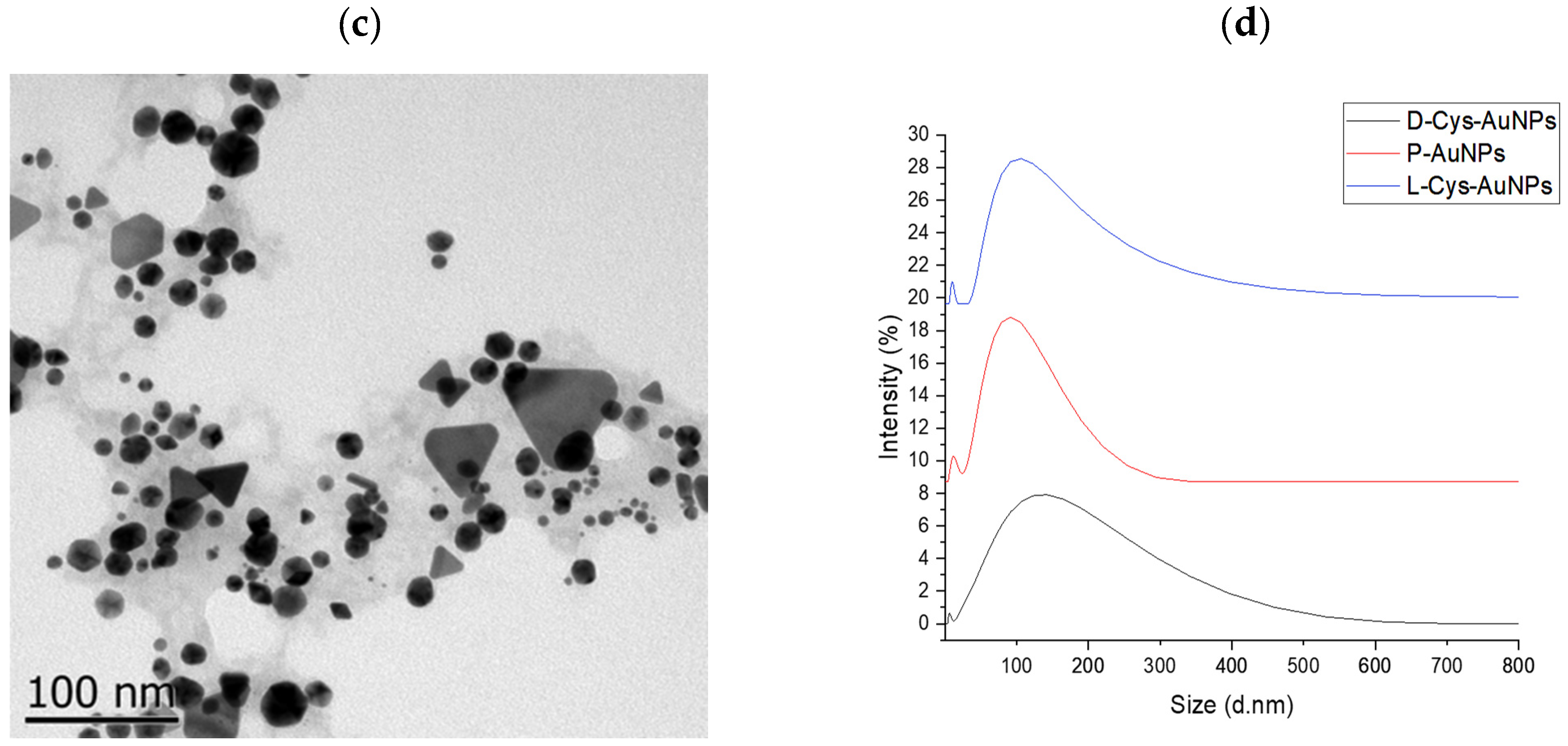 Ijms 26 07645 g003b Ijms 26 07645 g003b