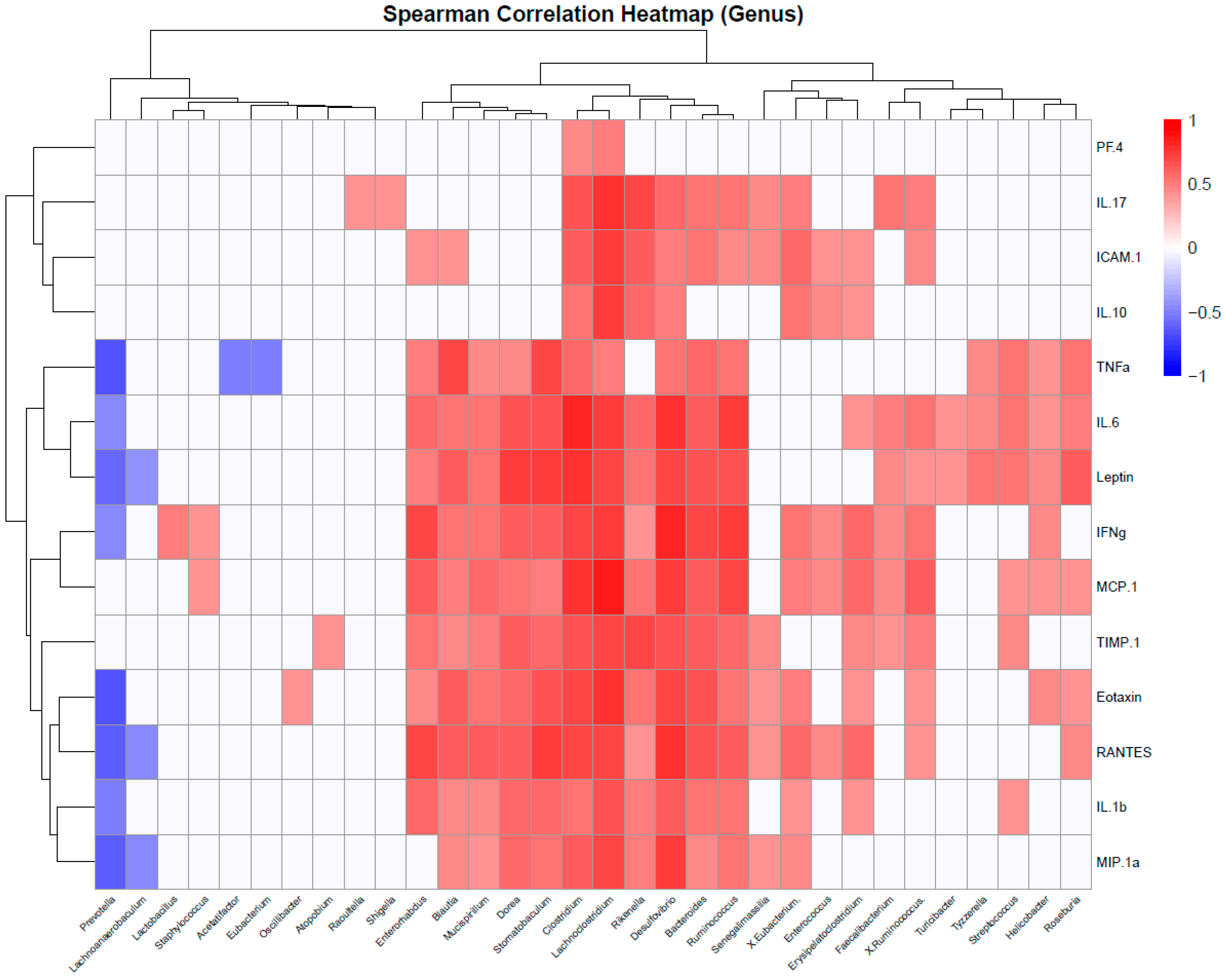 Ijms 26 07697 g011 Ijms 26 07697 g011