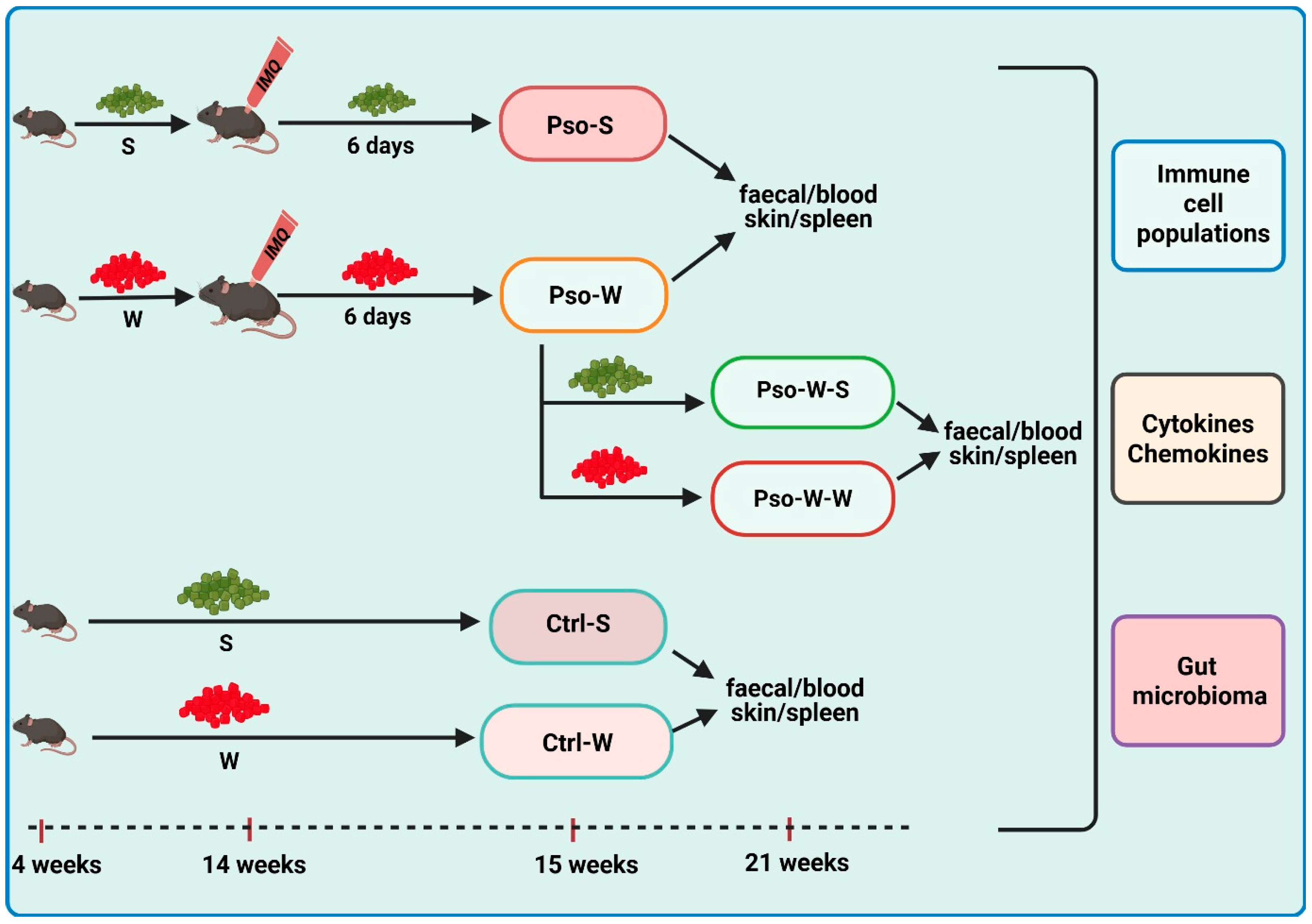 Ijms 26 07697 g013 Ijms 26 07697 g013