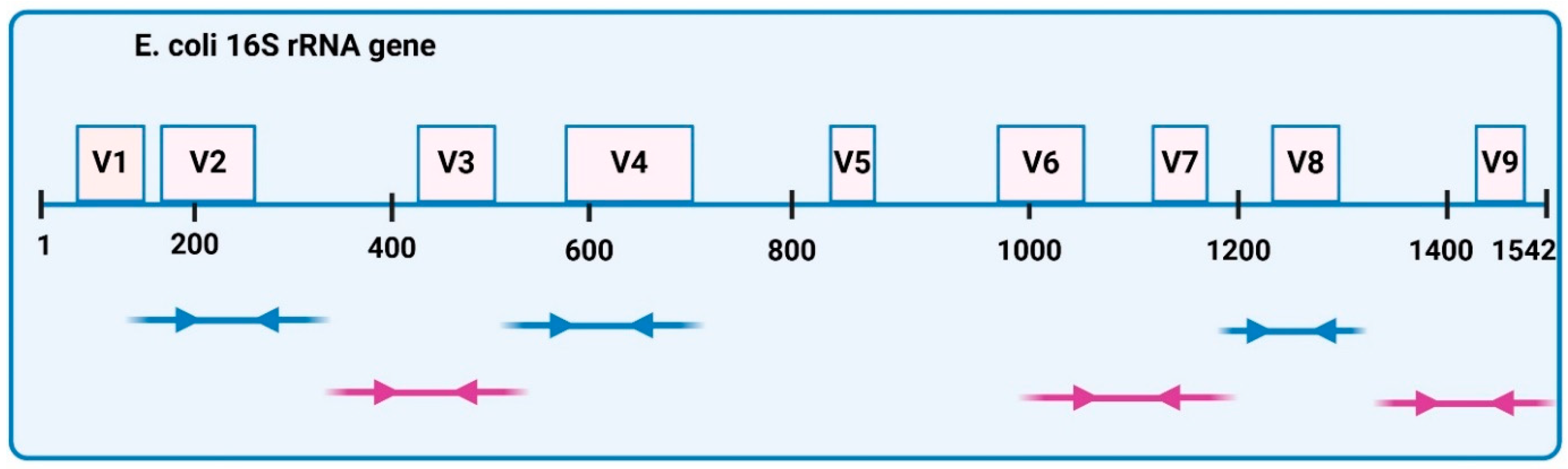Ijms 26 07697 g014 Ijms 26 07697 g014