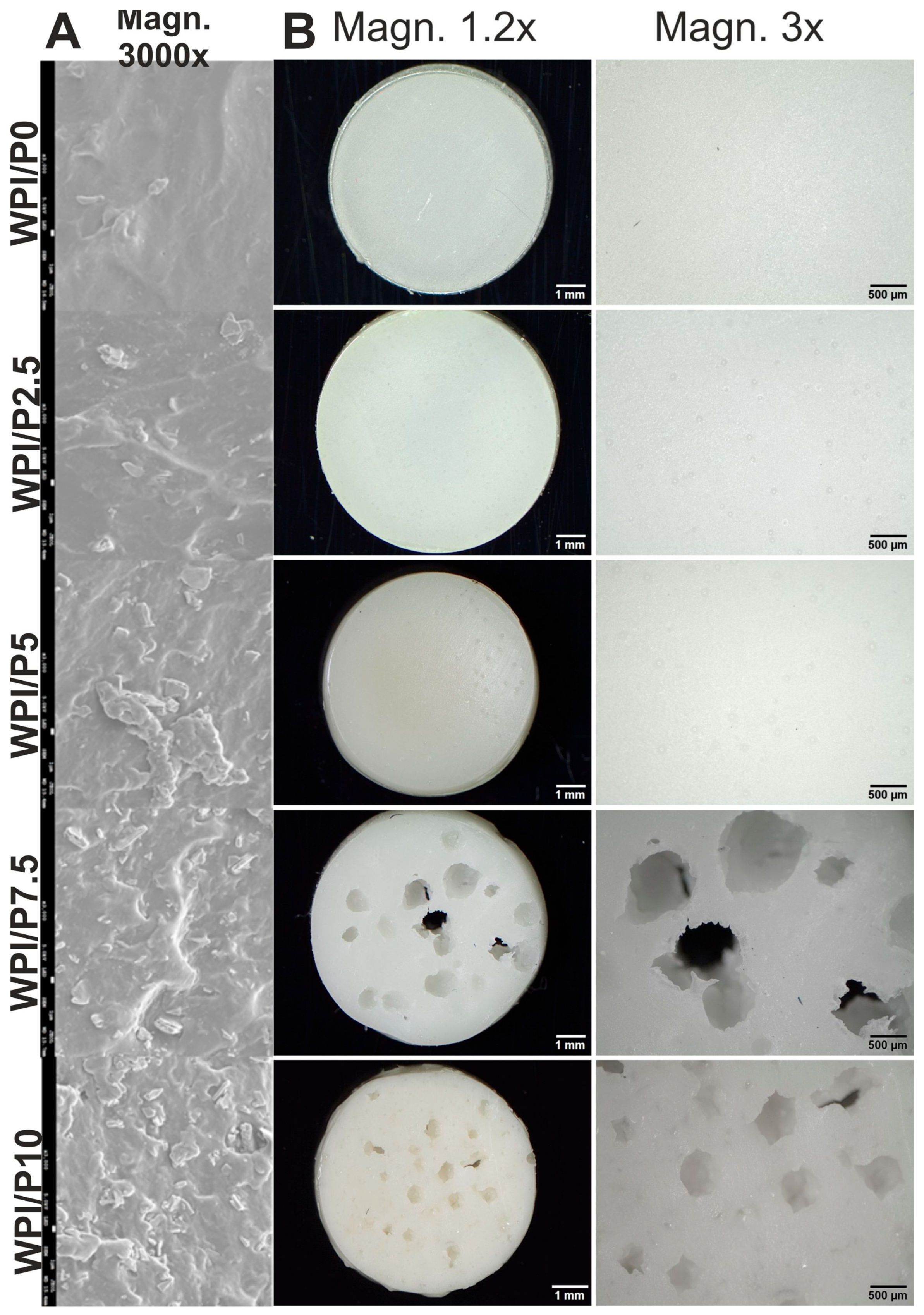 Ijms 26 07939 g001 Ijms 26 07939 g001