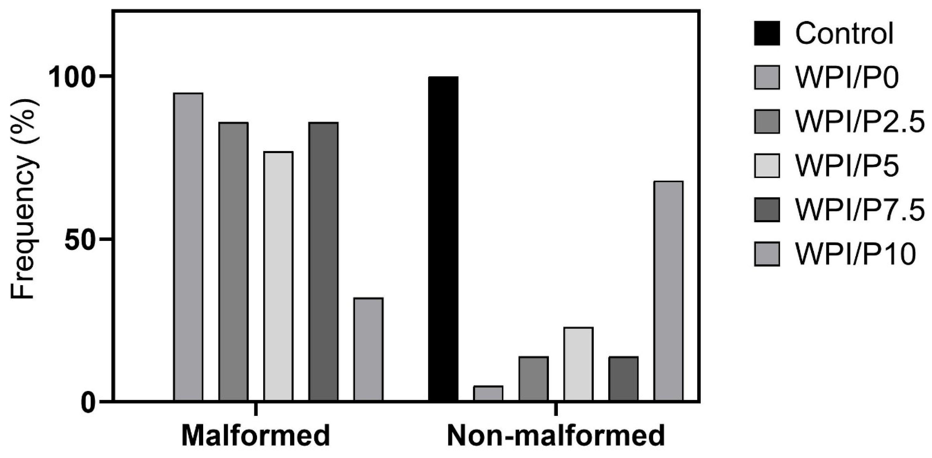 Ijms 26 07939 g014 Ijms 26 07939 g014