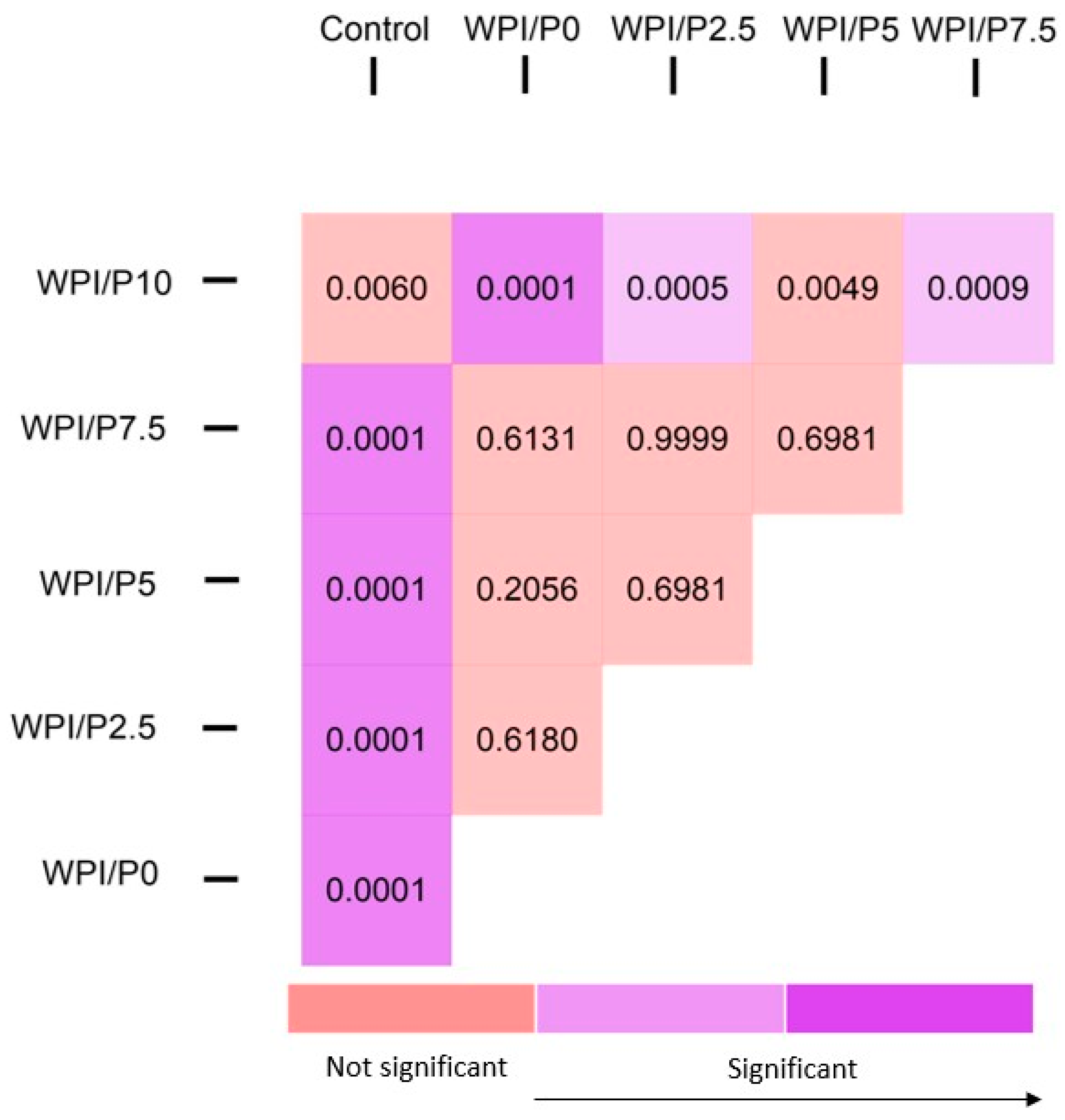 Ijms 26 07939 g016 Ijms 26 07939 g016