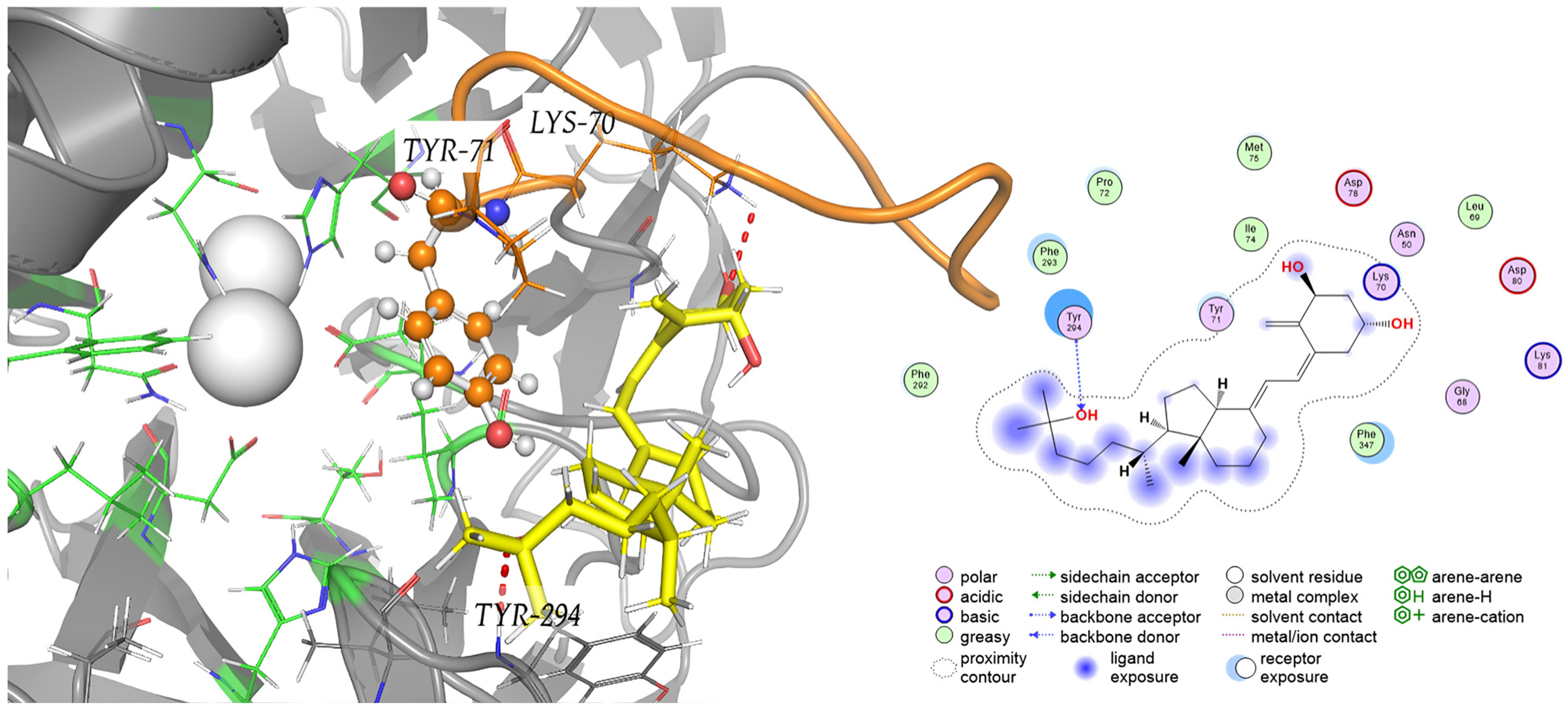 Ijms 26 07948 g006 Ijms 26 07948 g006