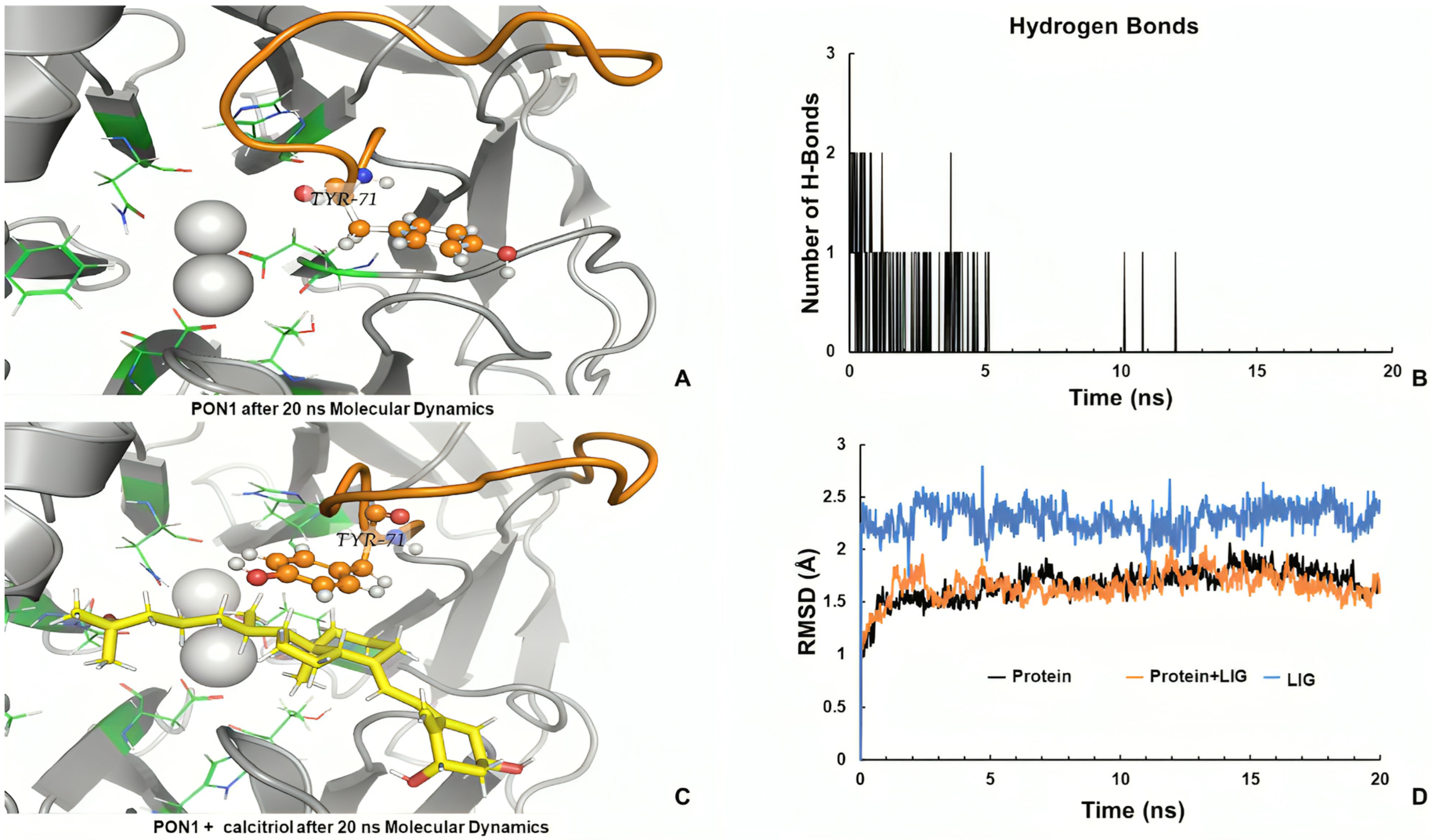 Ijms 26 07948 g007 Ijms 26 07948 g007