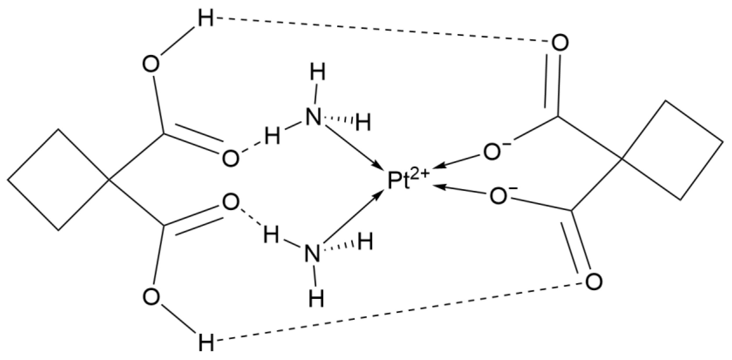 Ijms 26 07958 g006