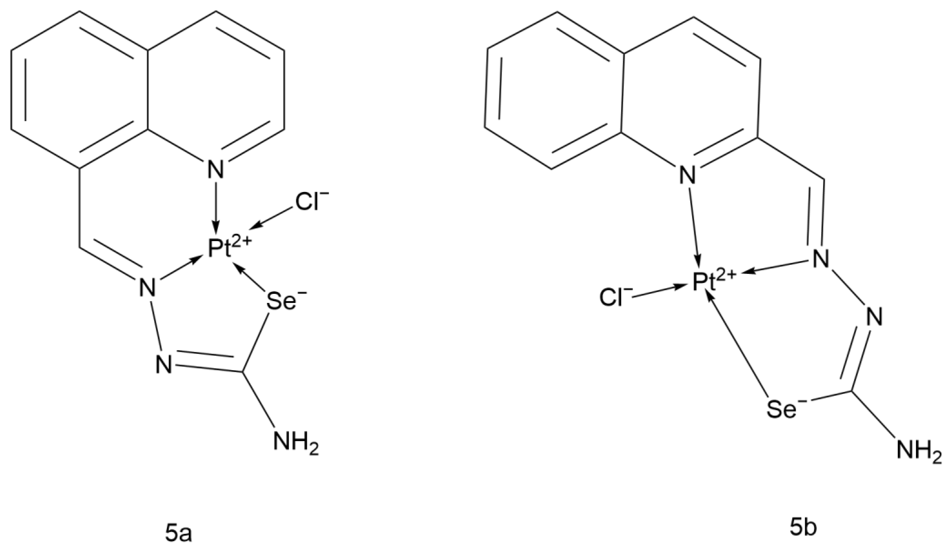 Ijms 26 07958 g015