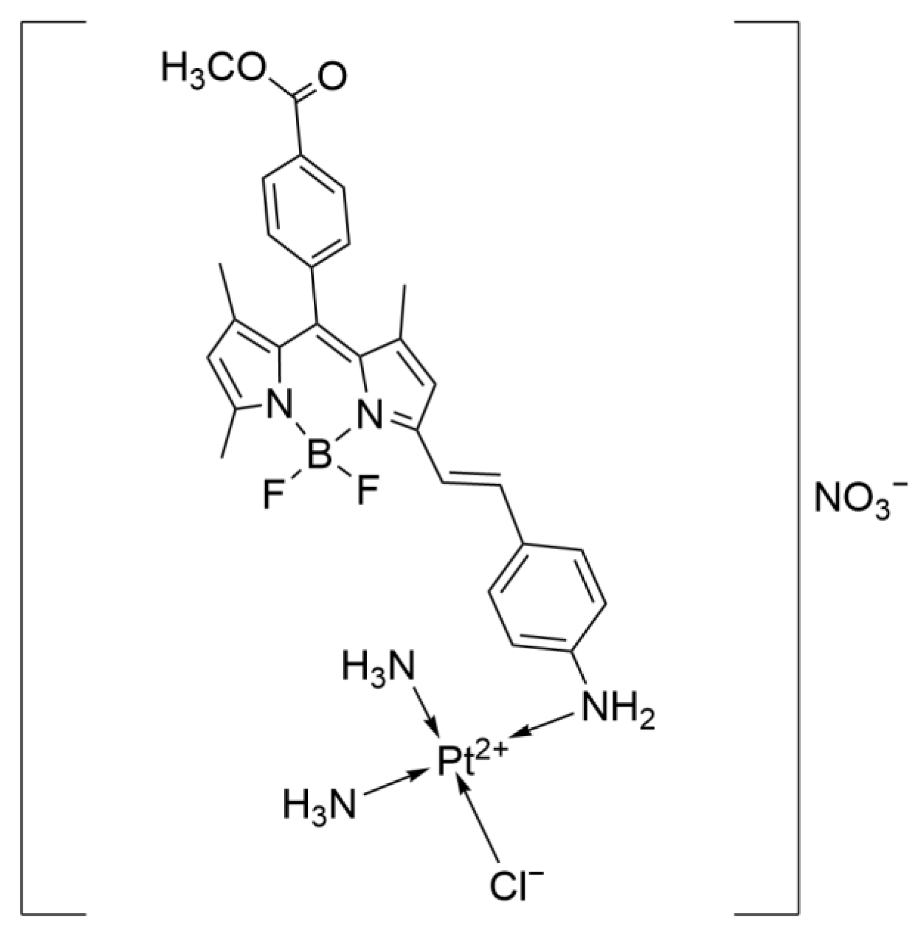 Ijms 26 07958 g025