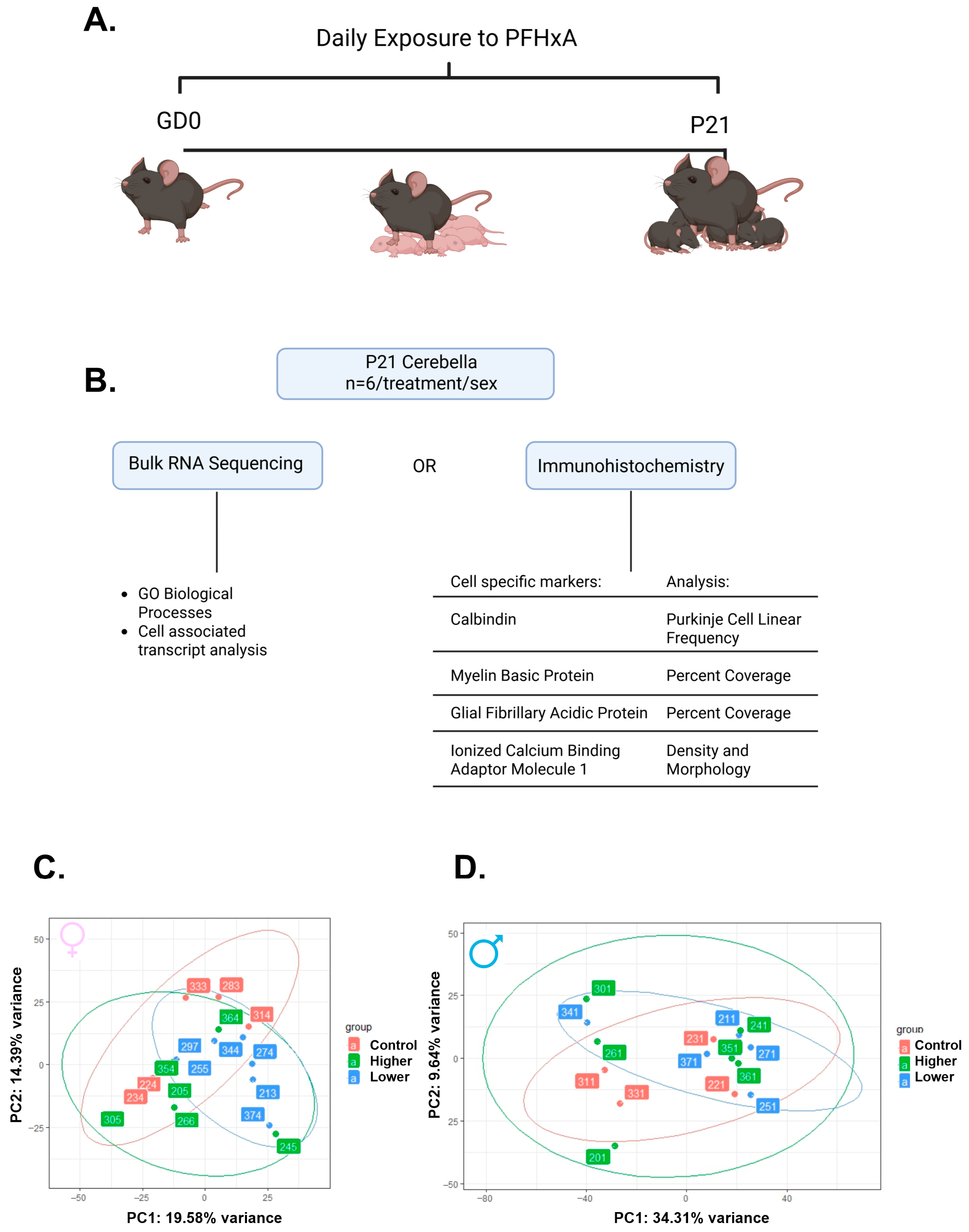 Ijms 26 08008 g001 Ijms 26 08008 g001