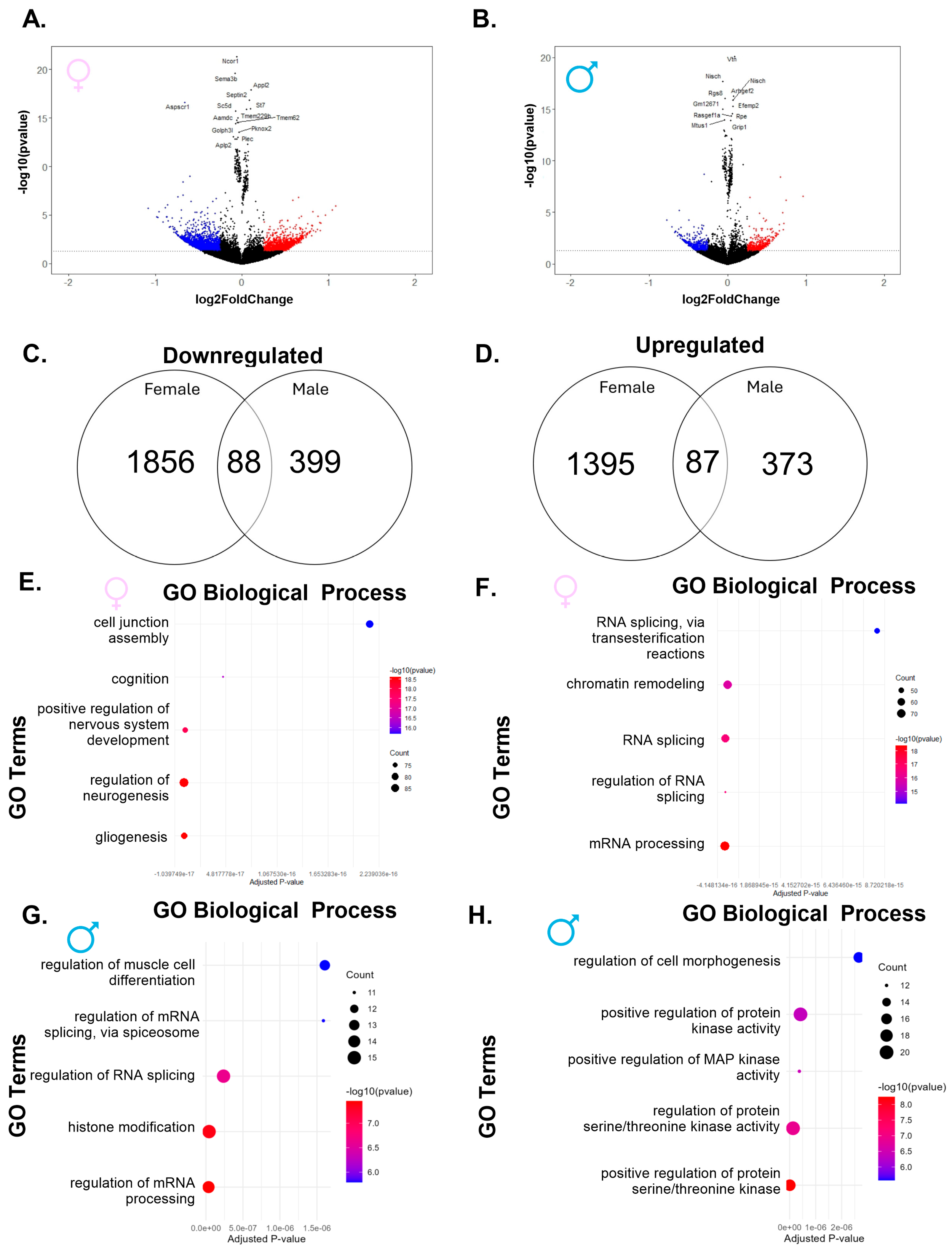Ijms 26 08008 g002 Ijms 26 08008 g002
