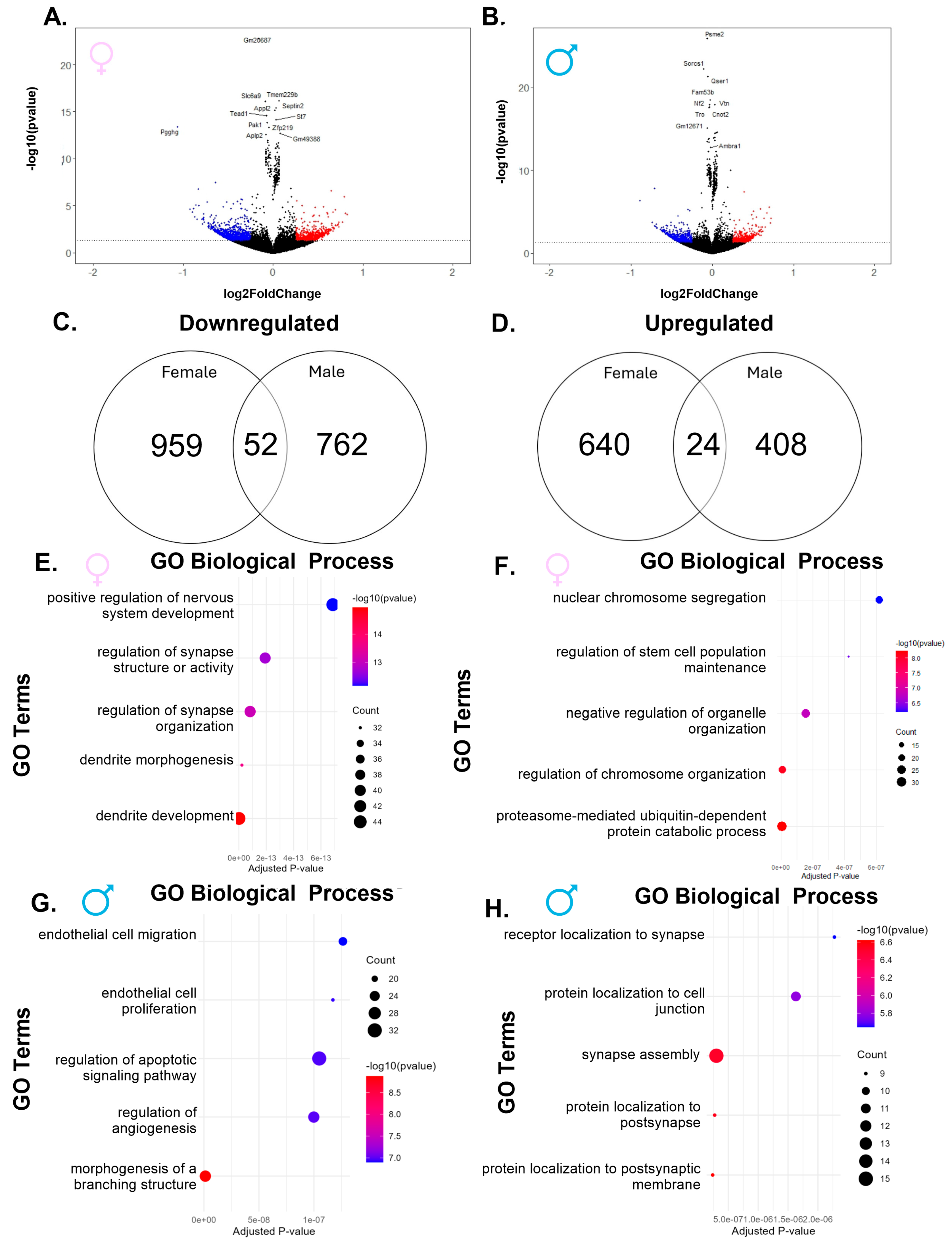 Ijms 26 08008 g003 Ijms 26 08008 g003