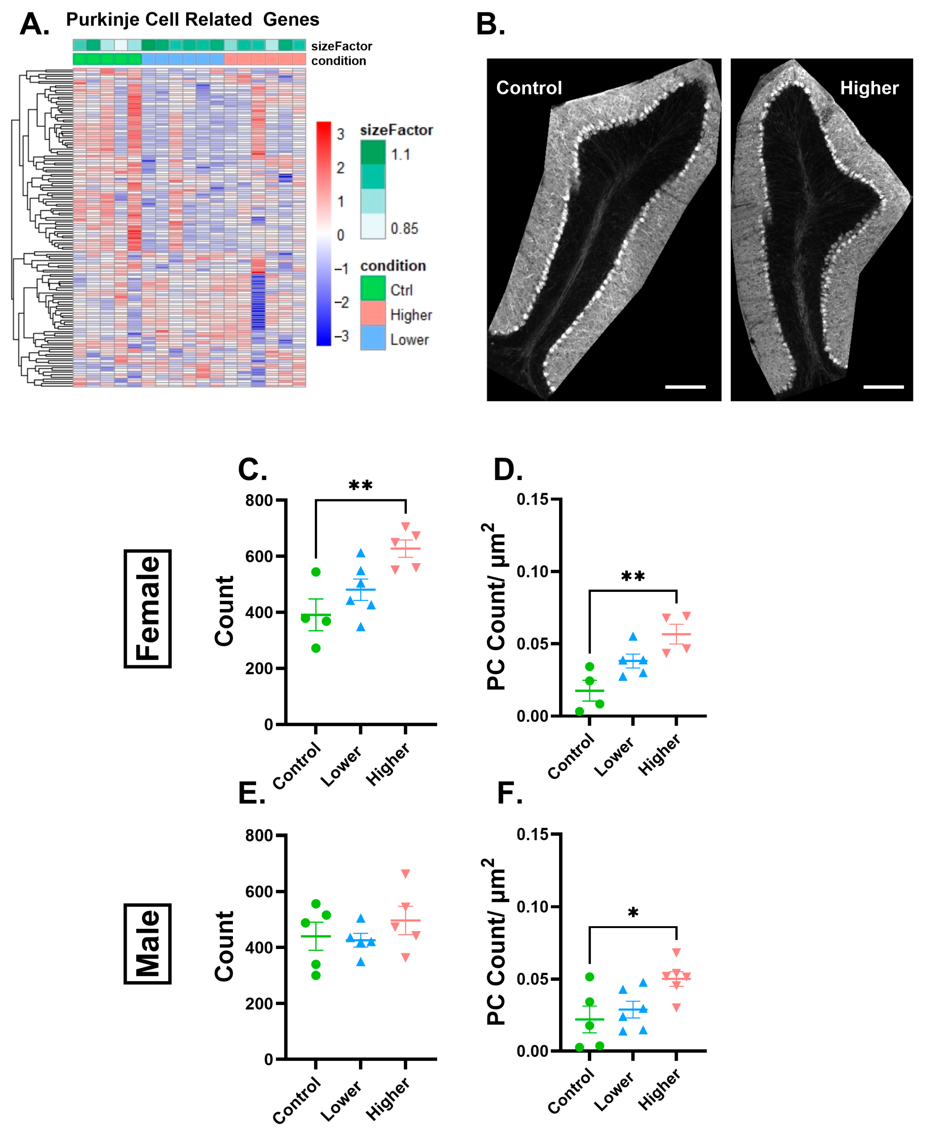 Ijms 26 08008 g004 Ijms 26 08008 g004