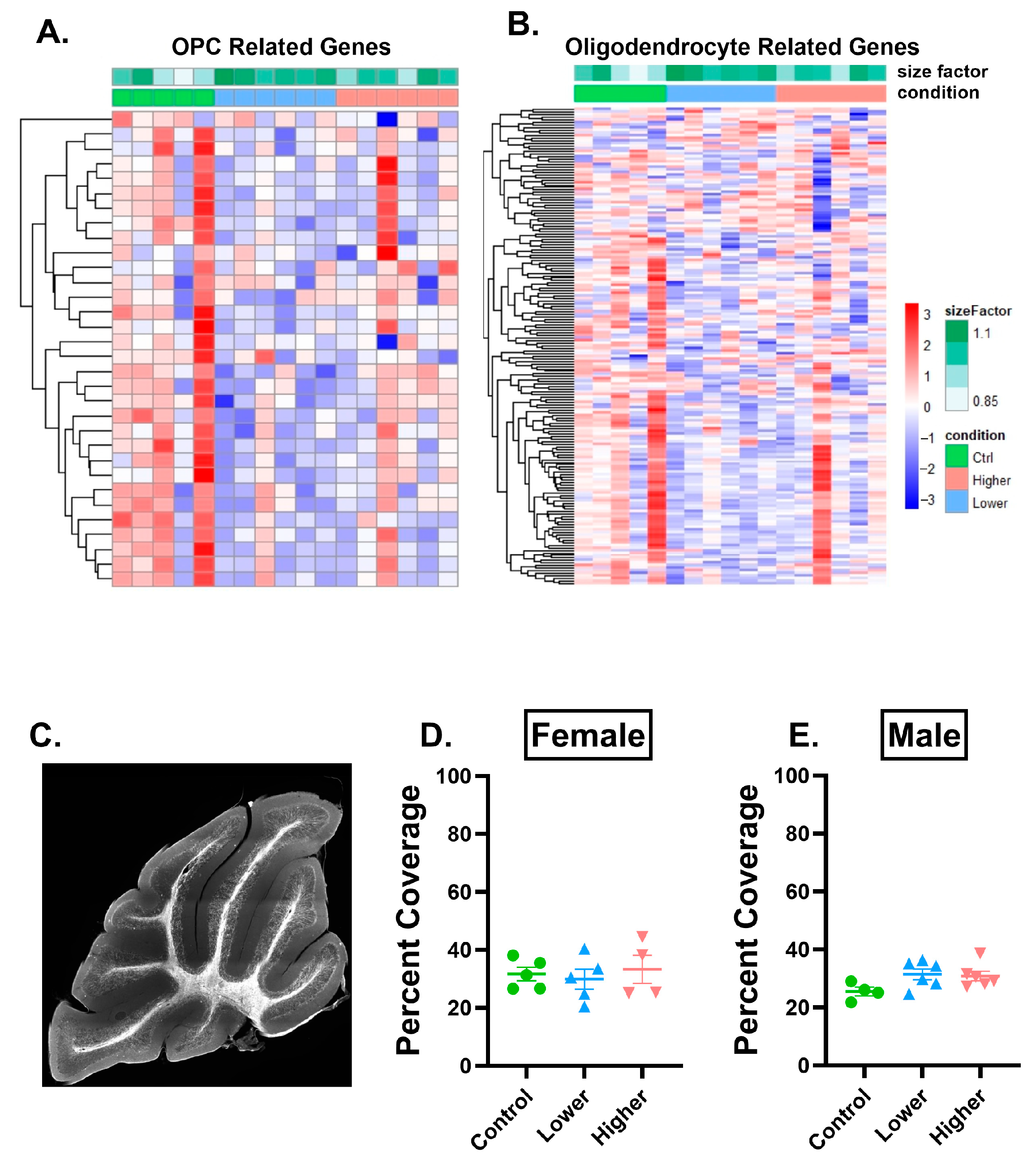 Ijms 26 08008 g005 Ijms 26 08008 g005