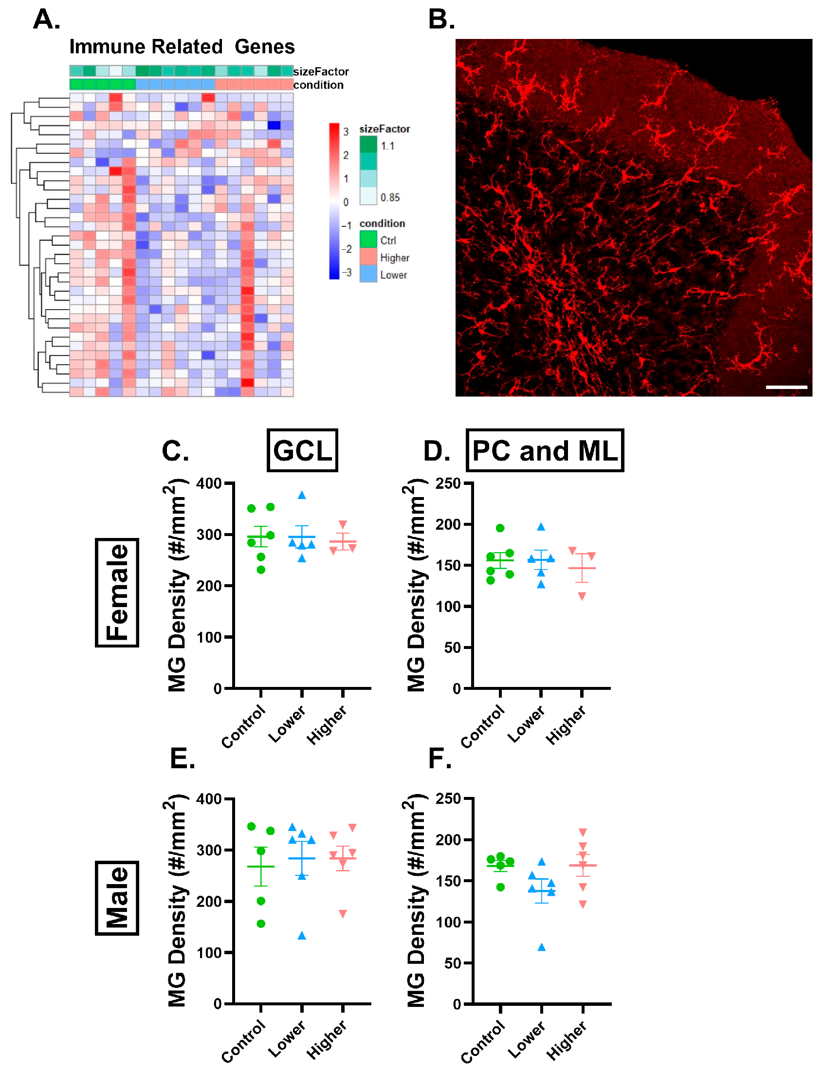 Ijms 26 08008 g007 Ijms 26 08008 g007