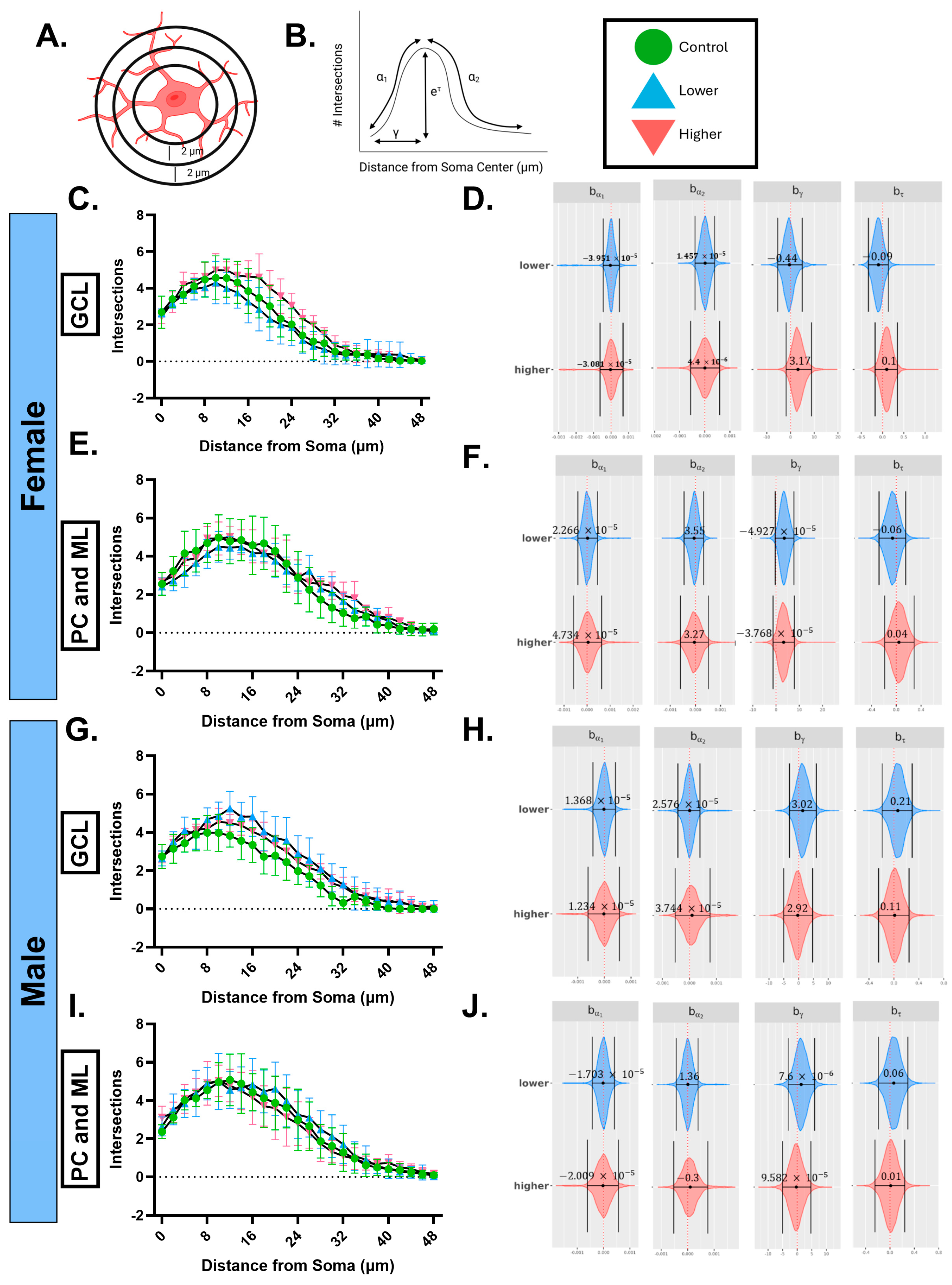 Ijms 26 08008 g008 Ijms 26 08008 g008