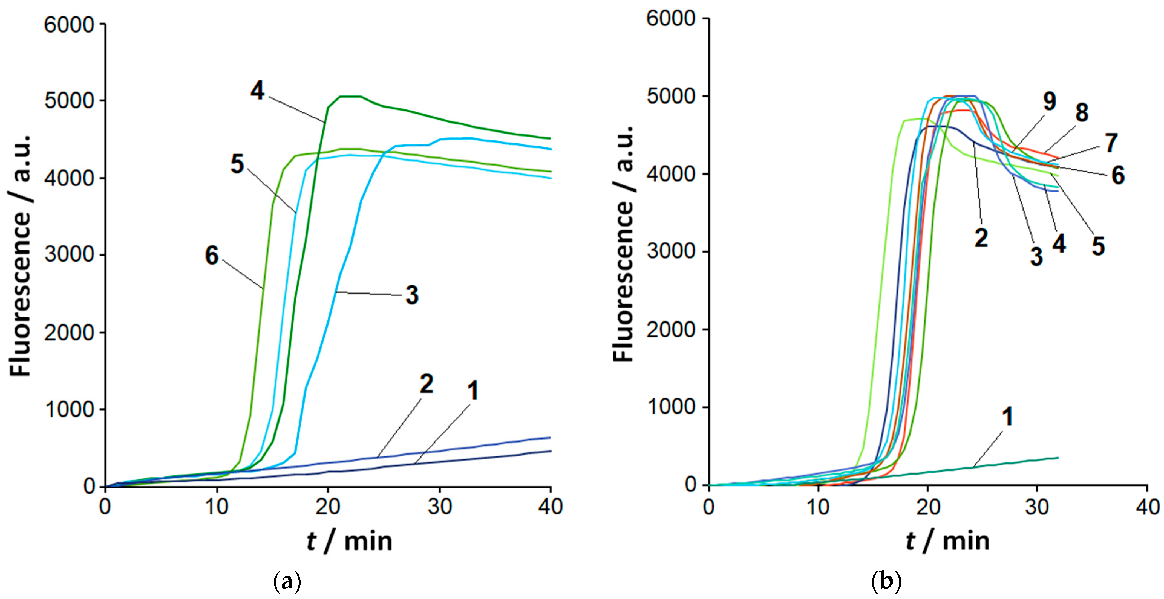 Ijms 26 08014 g001 Ijms 26 08014 g001