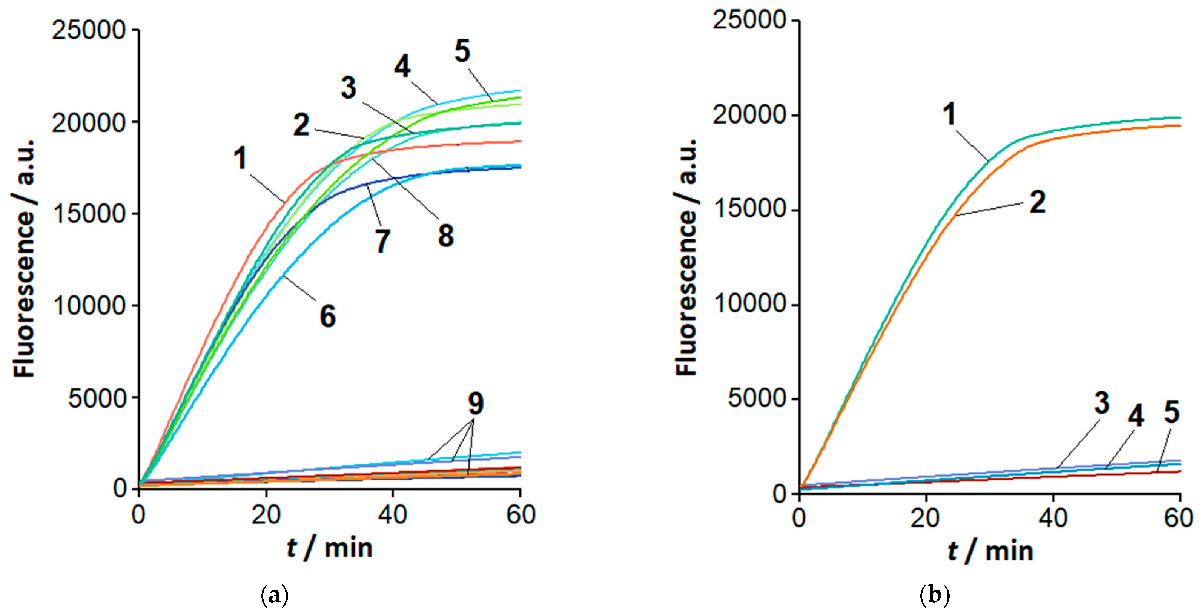 Ijms 26 08014 g002 Ijms 26 08014 g002
