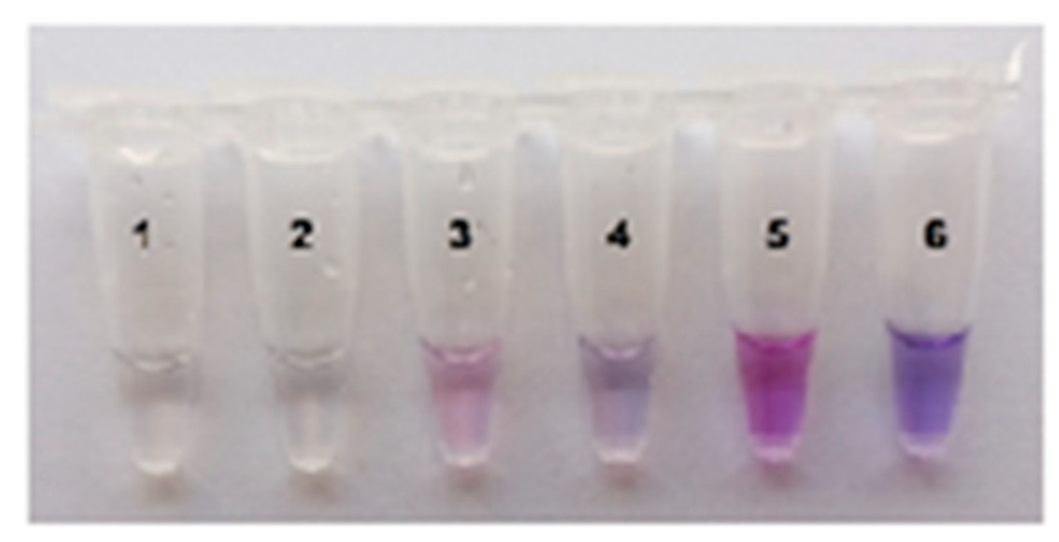 Ijms 26 08014 g005 Ijms 26 08014 g005