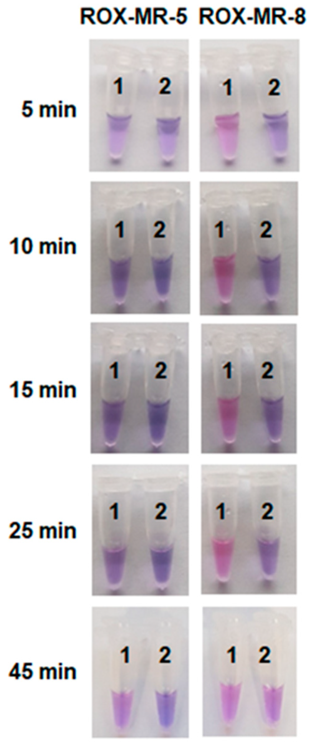 Ijms 26 08014 g006 Ijms 26 08014 g006