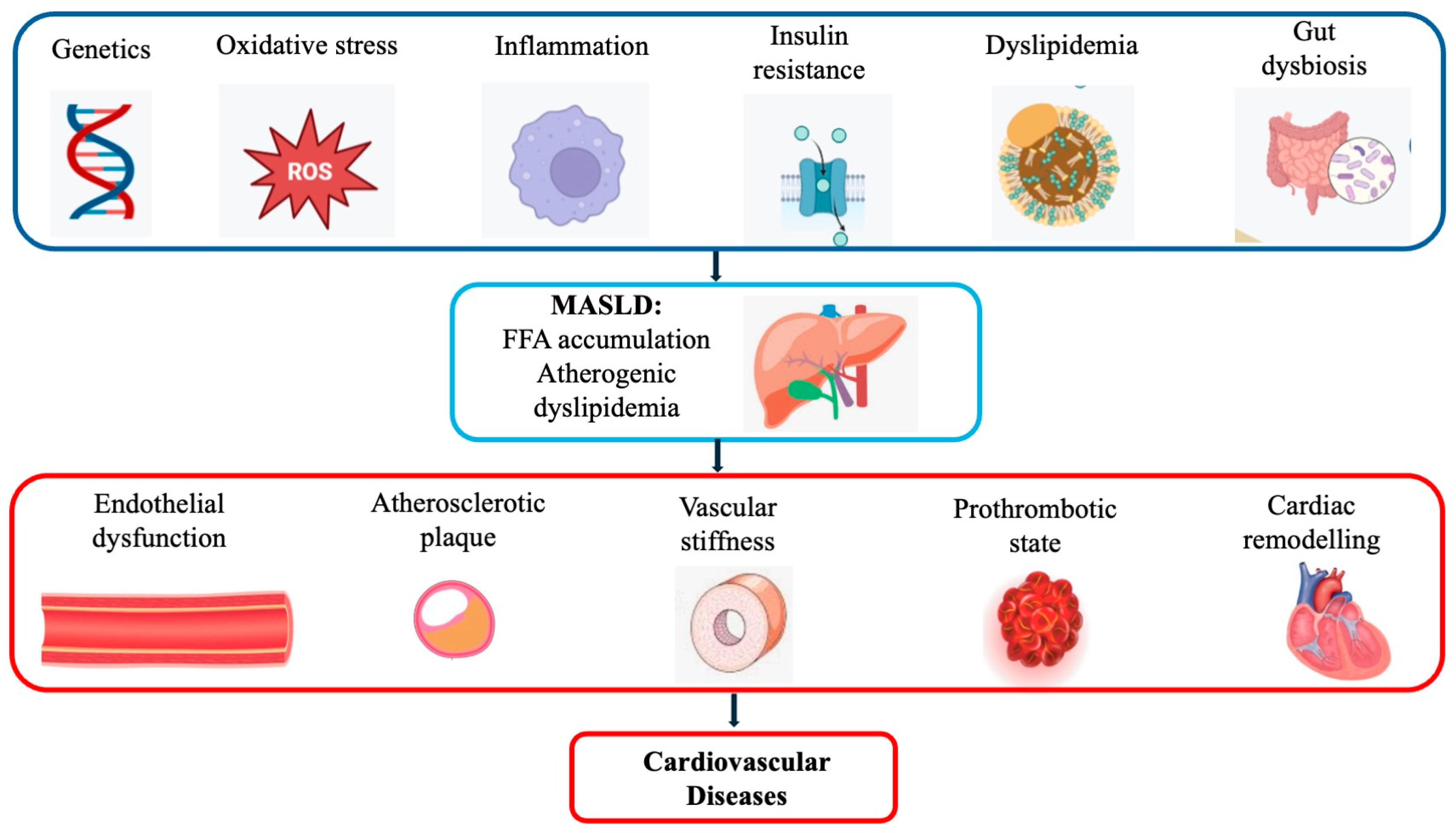 Ijms 26 08081 g001 Ijms 26 08081 g001