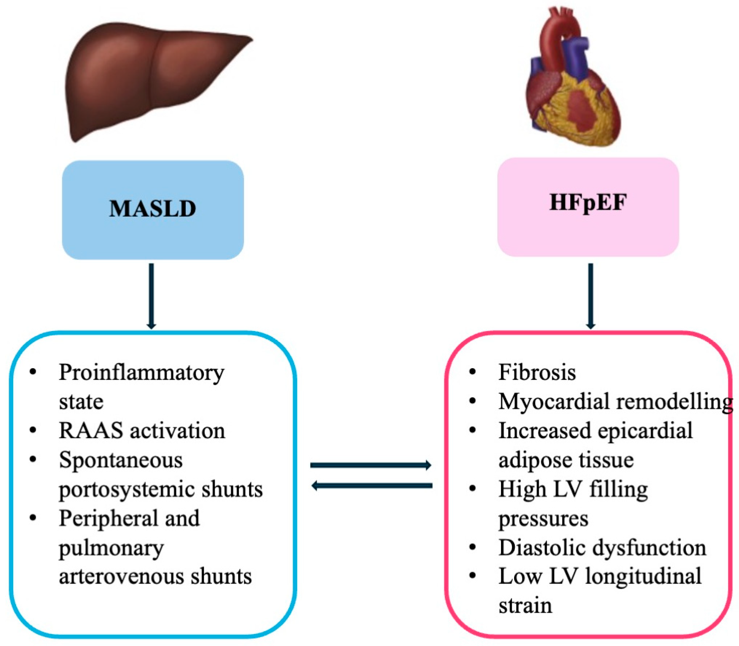 Ijms 26 08081 g002 Ijms 26 08081 g002