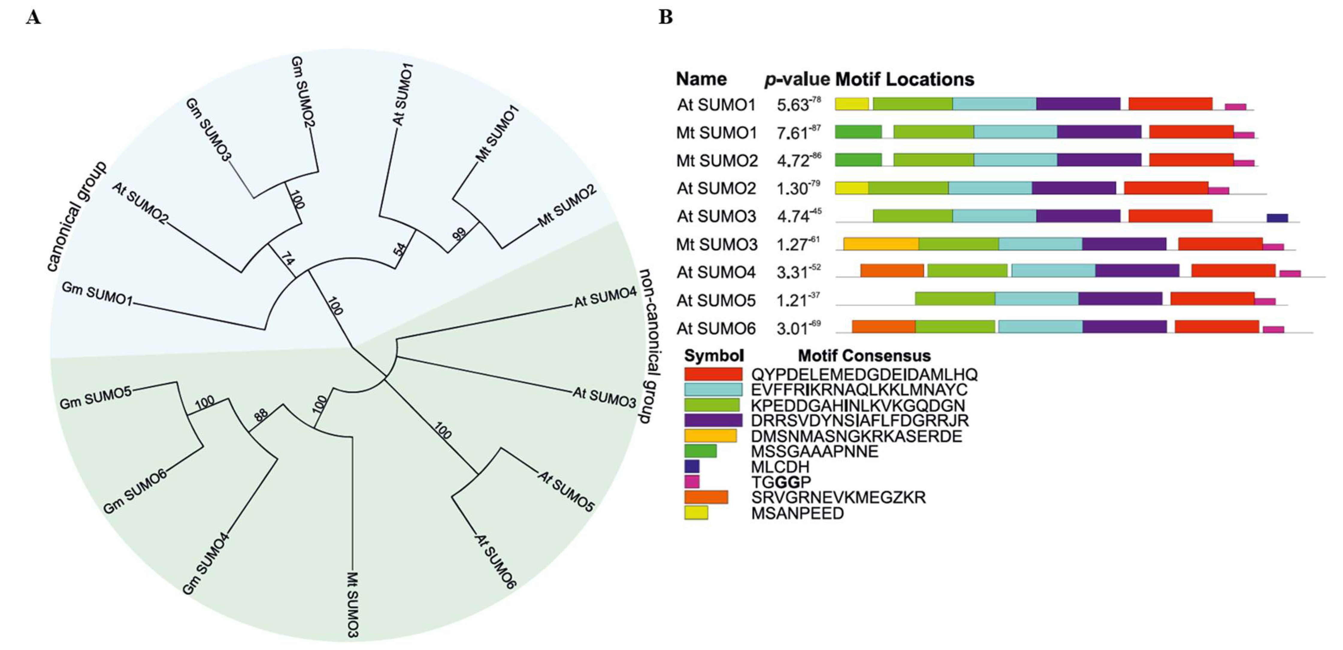 Ijms 26 08133 g001 Ijms 26 08133 g001