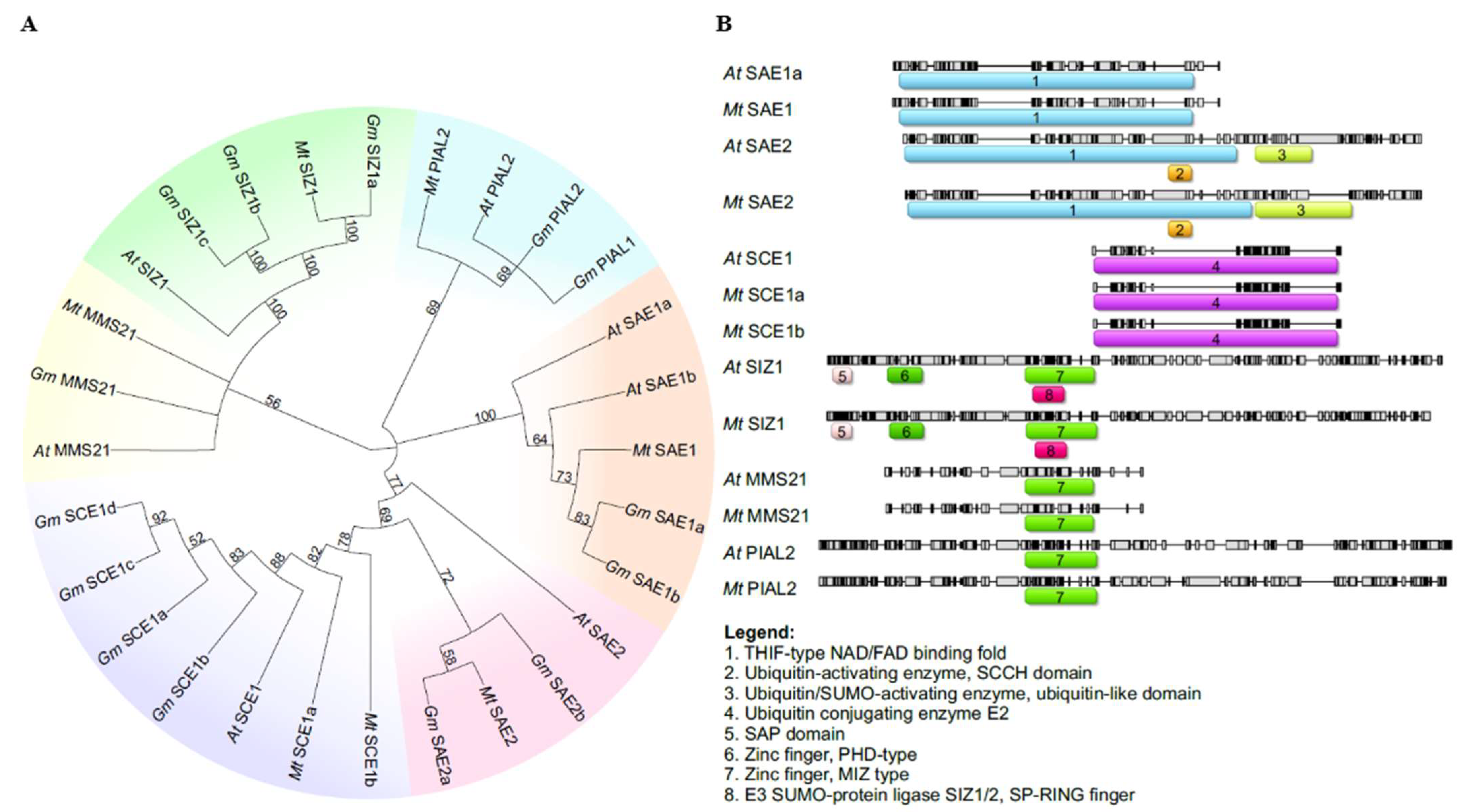 Ijms 26 08133 g003 Ijms 26 08133 g003