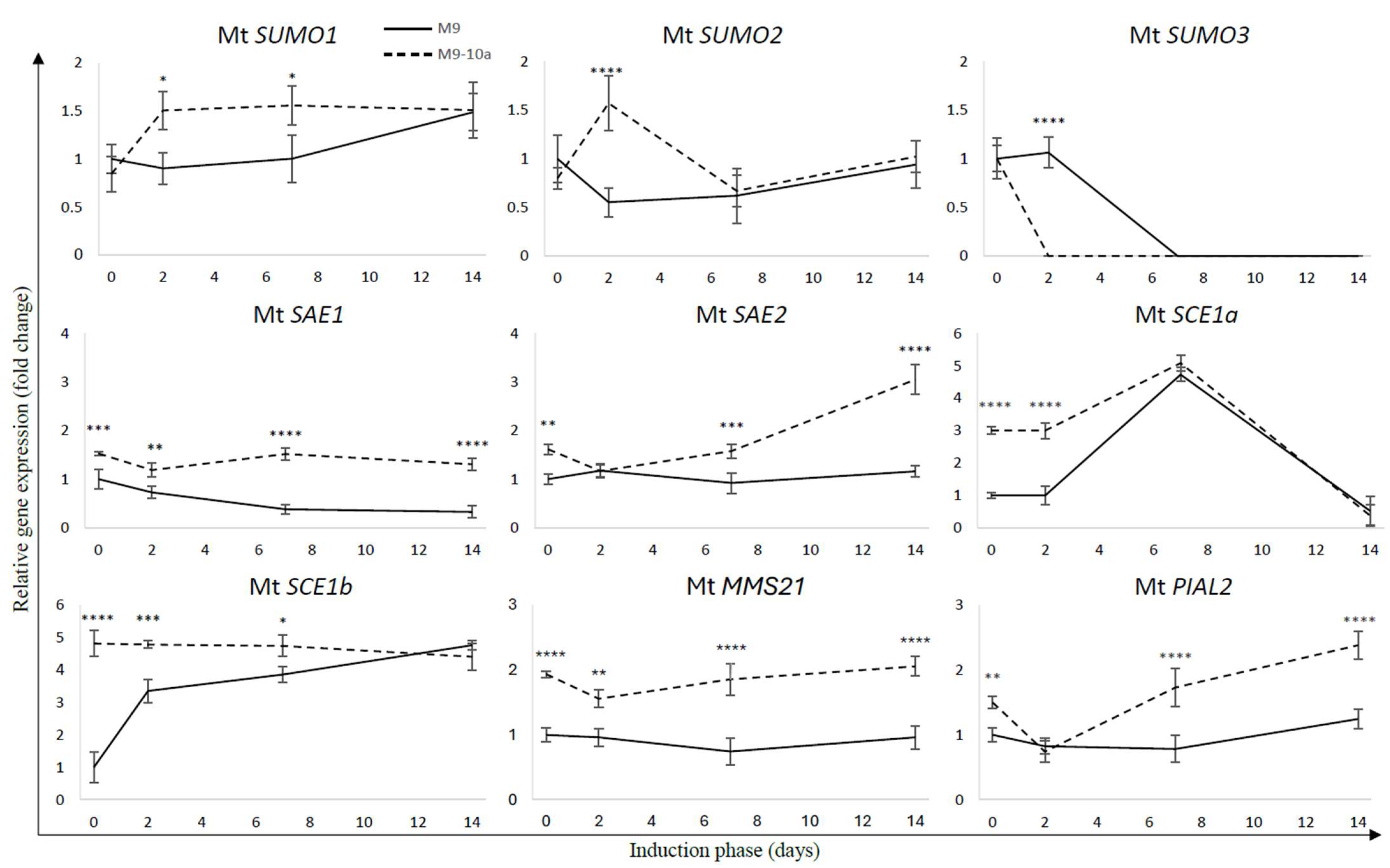 Ijms 26 08133 g005 Ijms 26 08133 g005