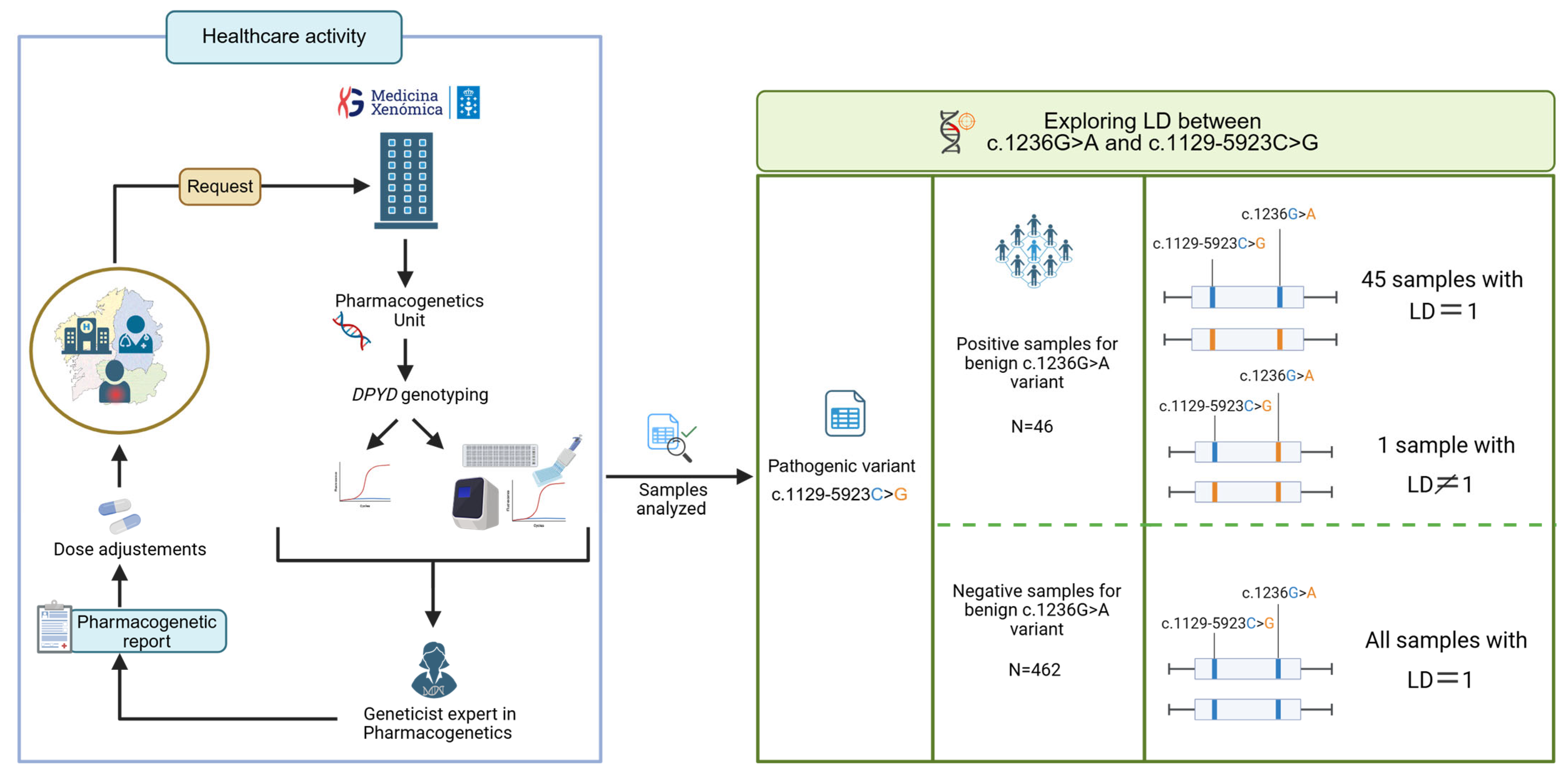Ijms 26 08136 g002 Ijms 26 08136 g002