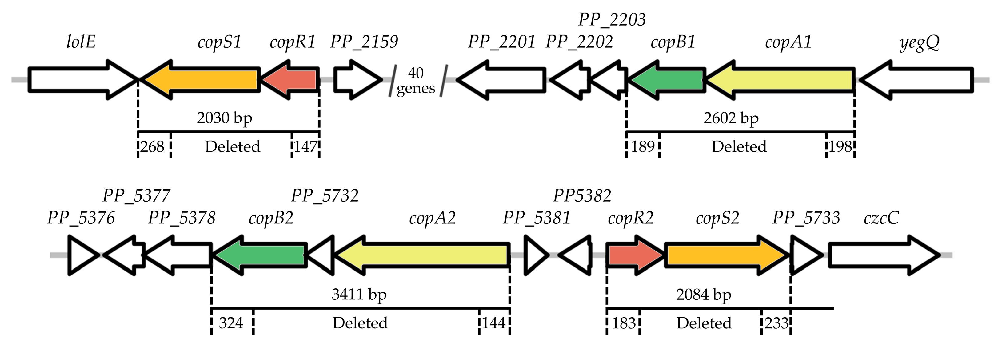 Ijms 26 08172 g001