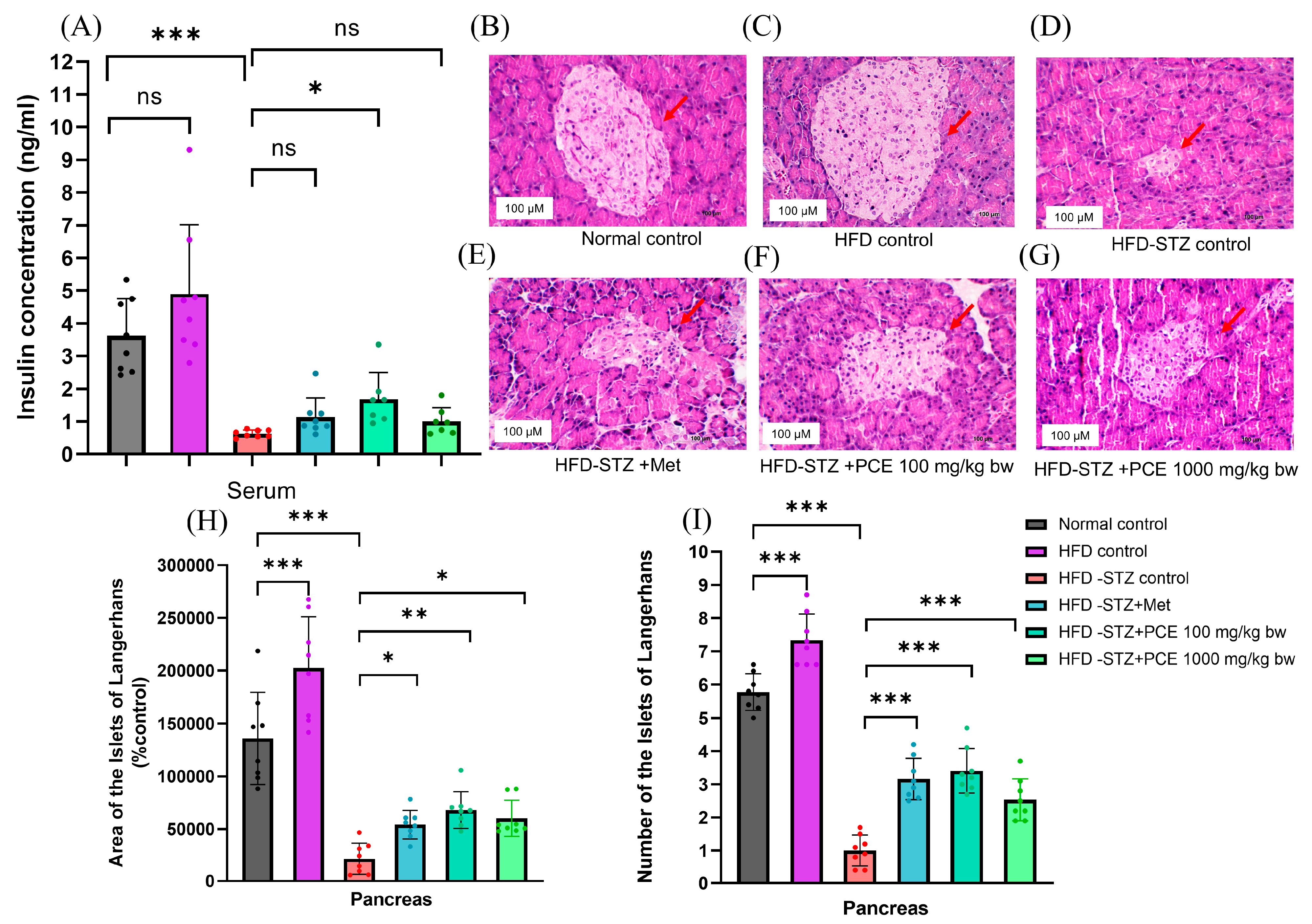 Ijms 26 08176 g003 Ijms 26 08176 g003