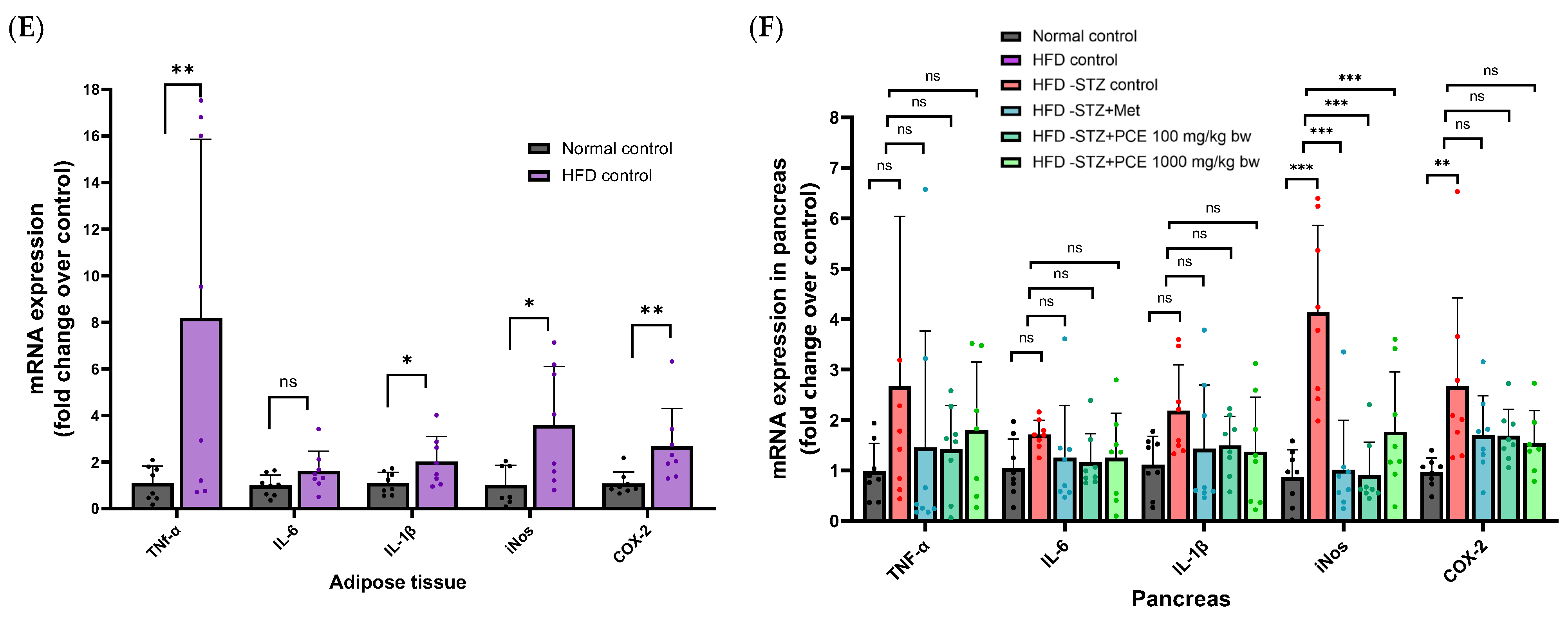 Ijms 26 08176 g004b Ijms 26 08176 g004b