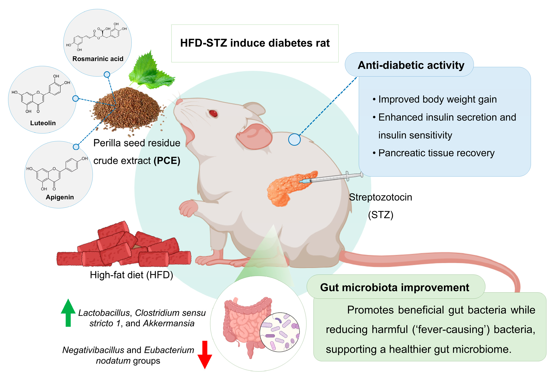Ijms 26 08176 g010 Ijms 26 08176 g010