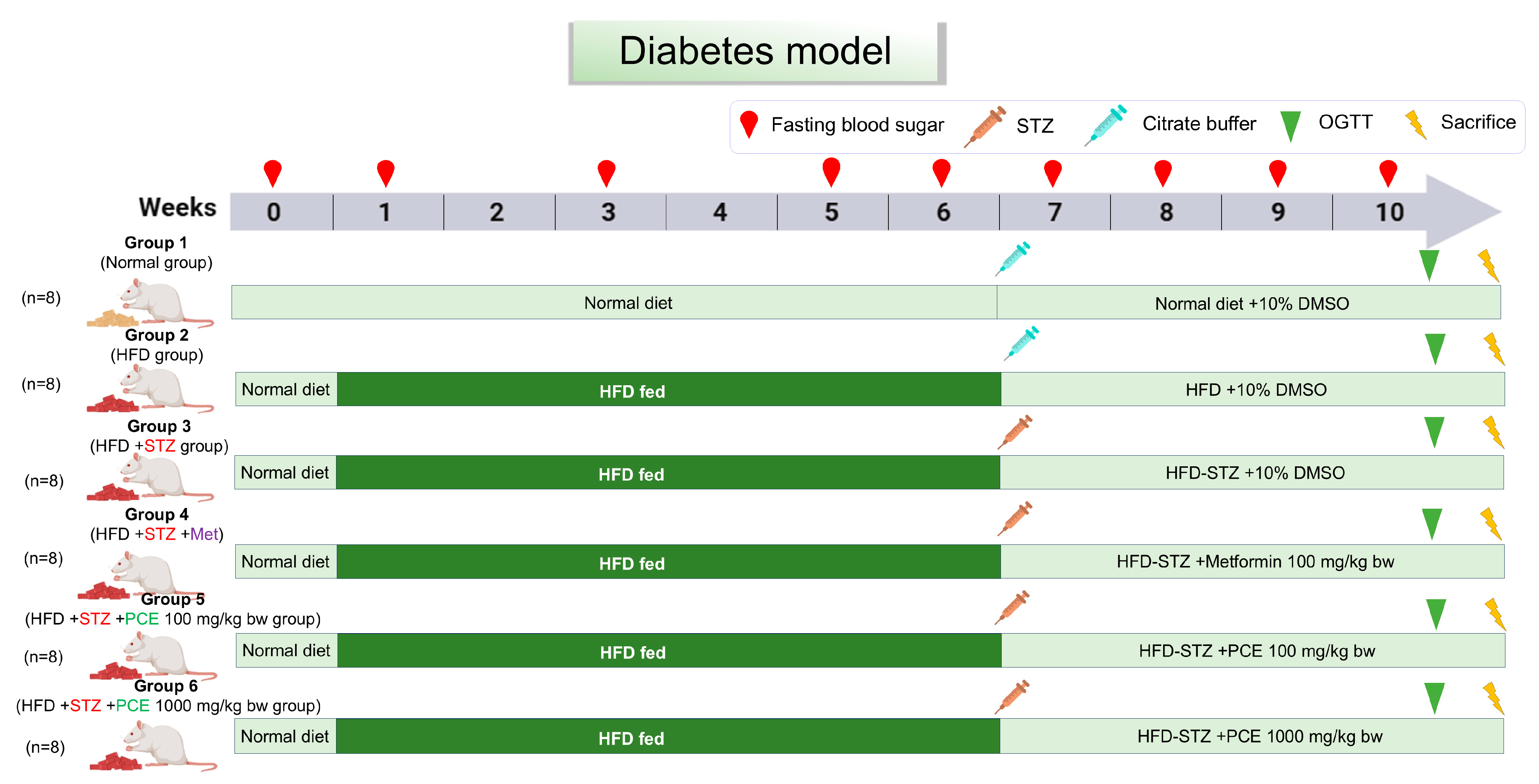 Ijms 26 08176 g011 Ijms 26 08176 g011