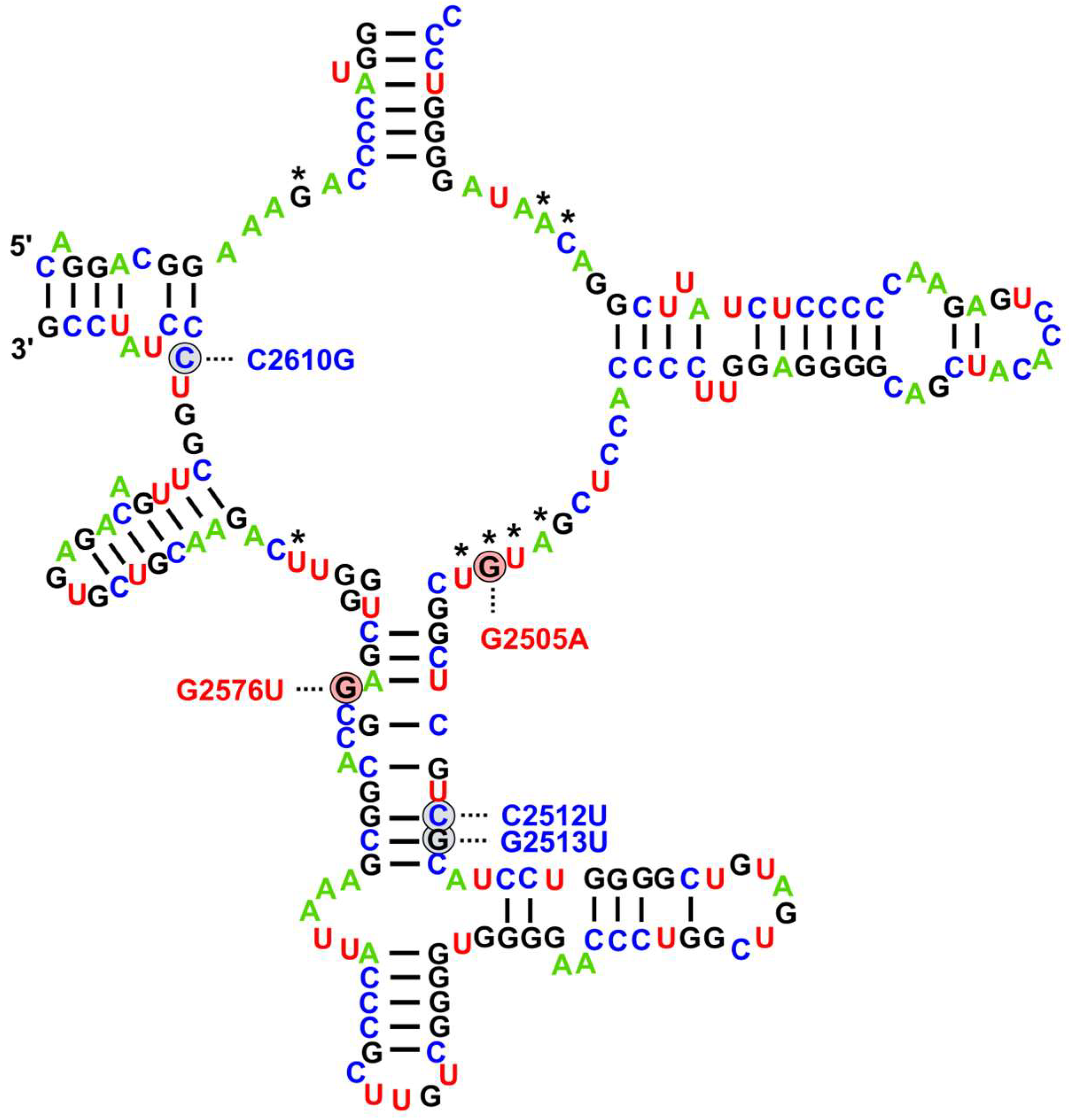 Ijms 26 08207 g001 Ijms 26 08207 g001