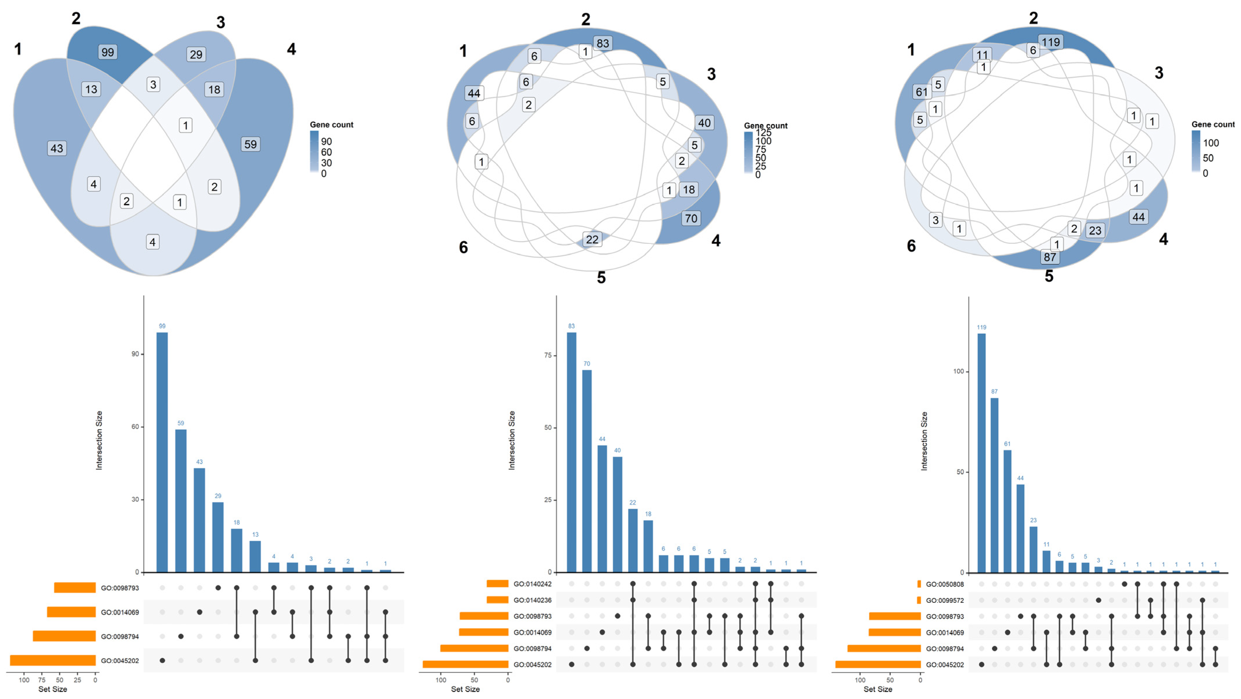 Ijms 26 08220 g002 Ijms 26 08220 g002