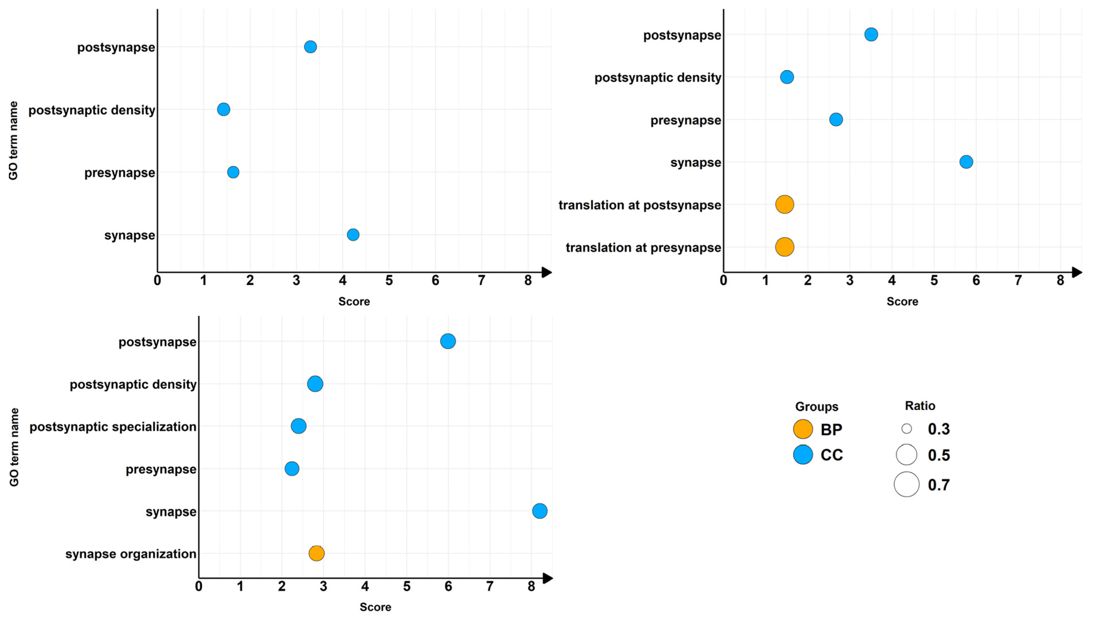 Ijms 26 08220 g003 Ijms 26 08220 g003